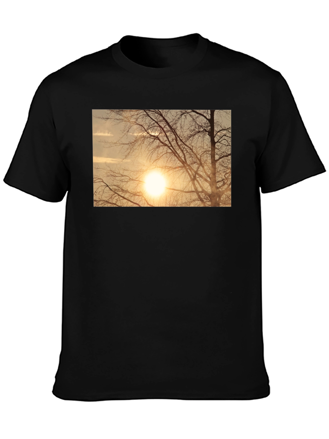 Sunset Tree Graphic Black T-Shirt