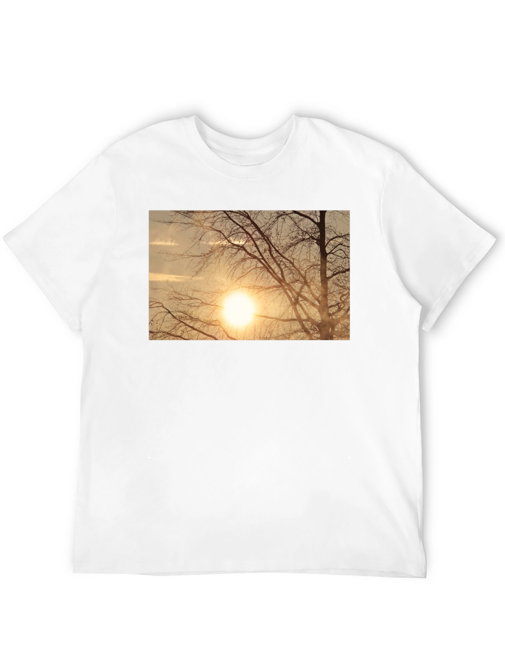 Sunset Tree Graphic Black T-Shirt