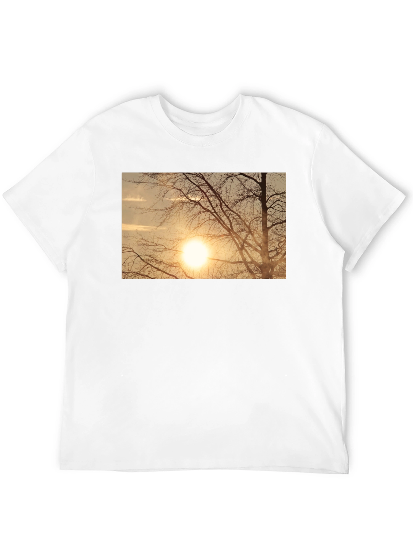 Sunset Tree Graphic Black T-Shirt