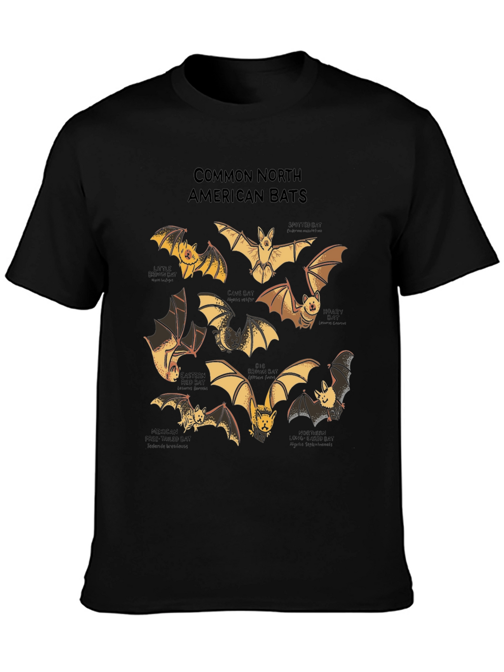 North American Bats Graphic Print T-Shirt