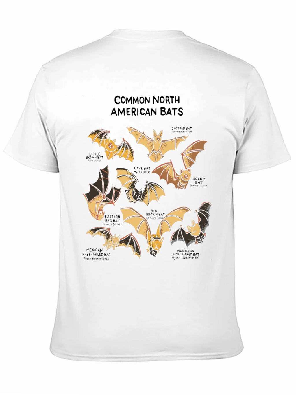 North American Bats Graphic Print T-Shirt