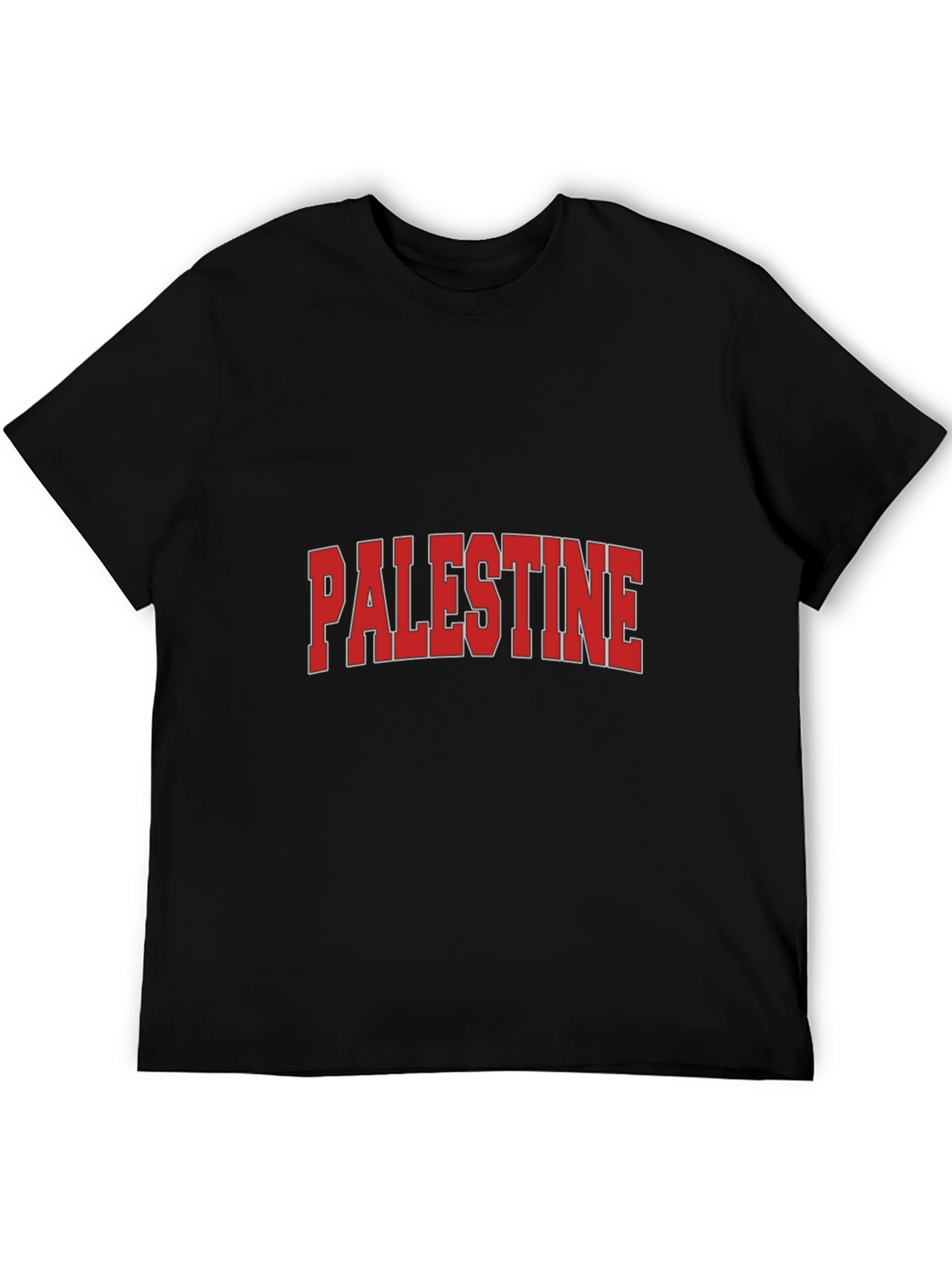 Palestine Graphic T-Shirt - Classic Design