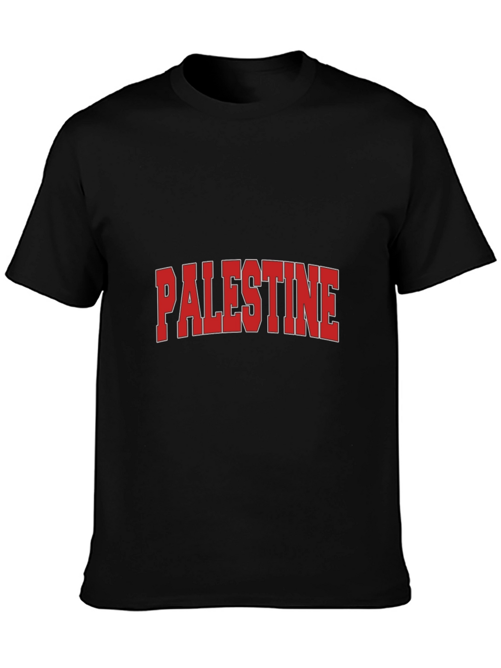 Palestine Graphic T-Shirt - Classic Design