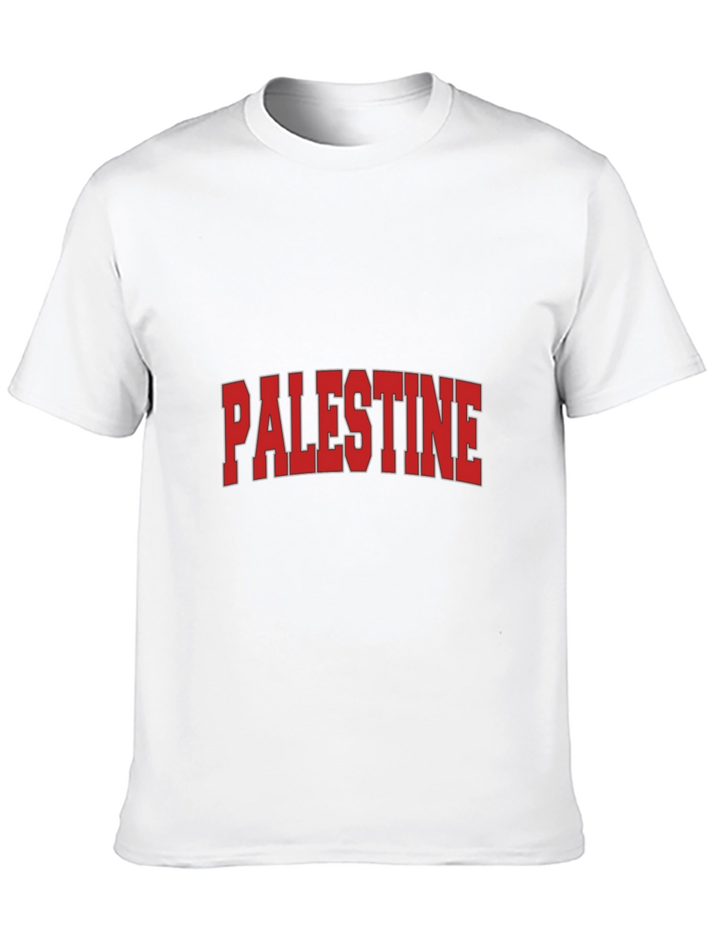 Palestine Graphic T-Shirt - Classic Design