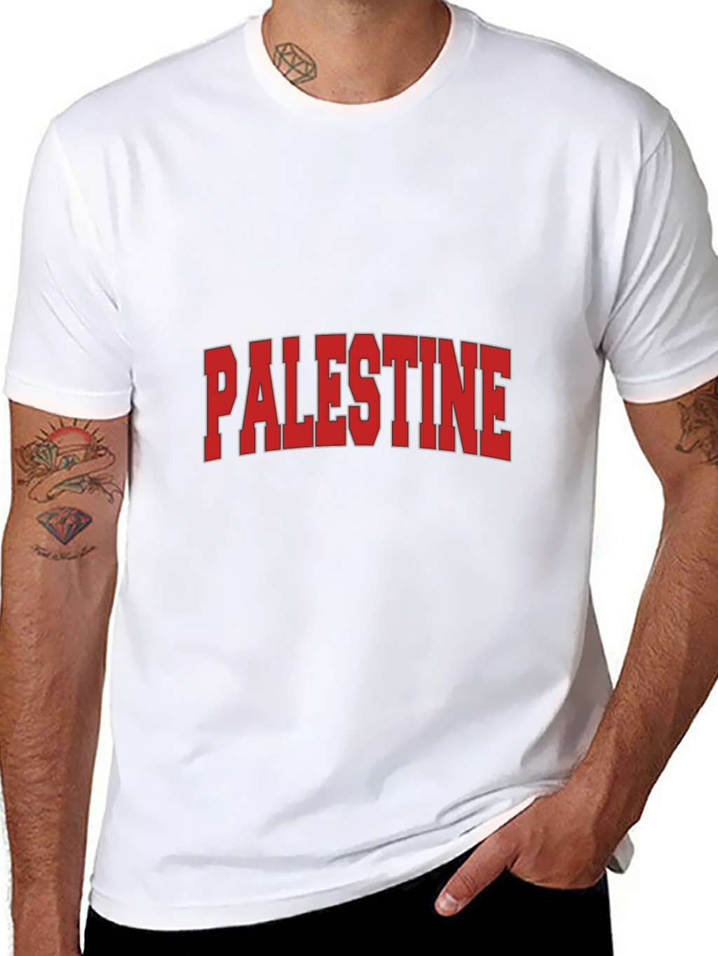Palestine Graphic T-Shirt - Classic Design