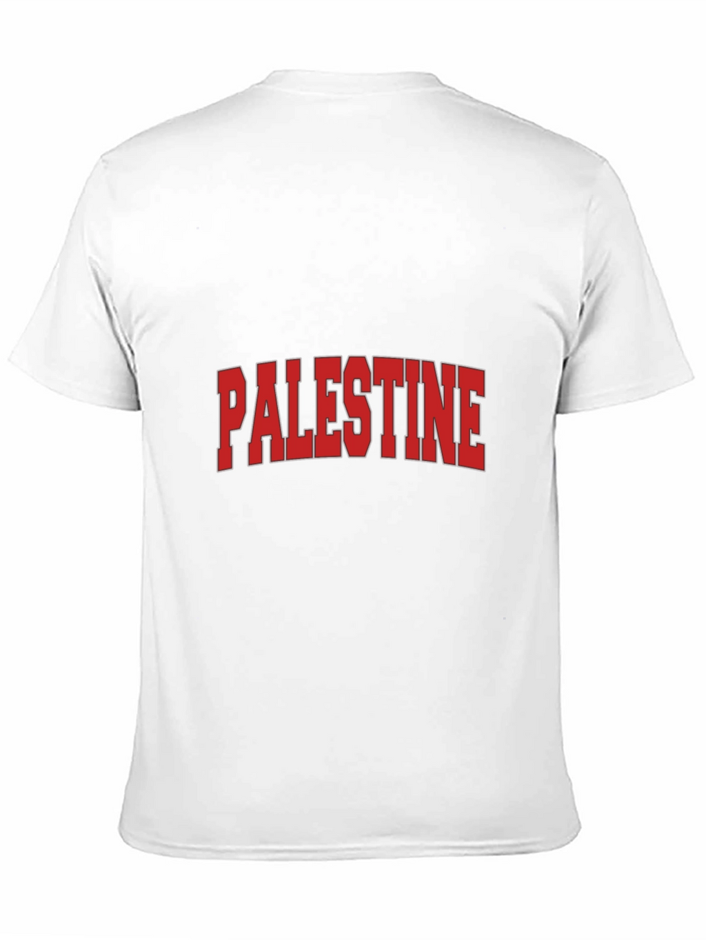 Palestine Graphic T-Shirt - Classic Design