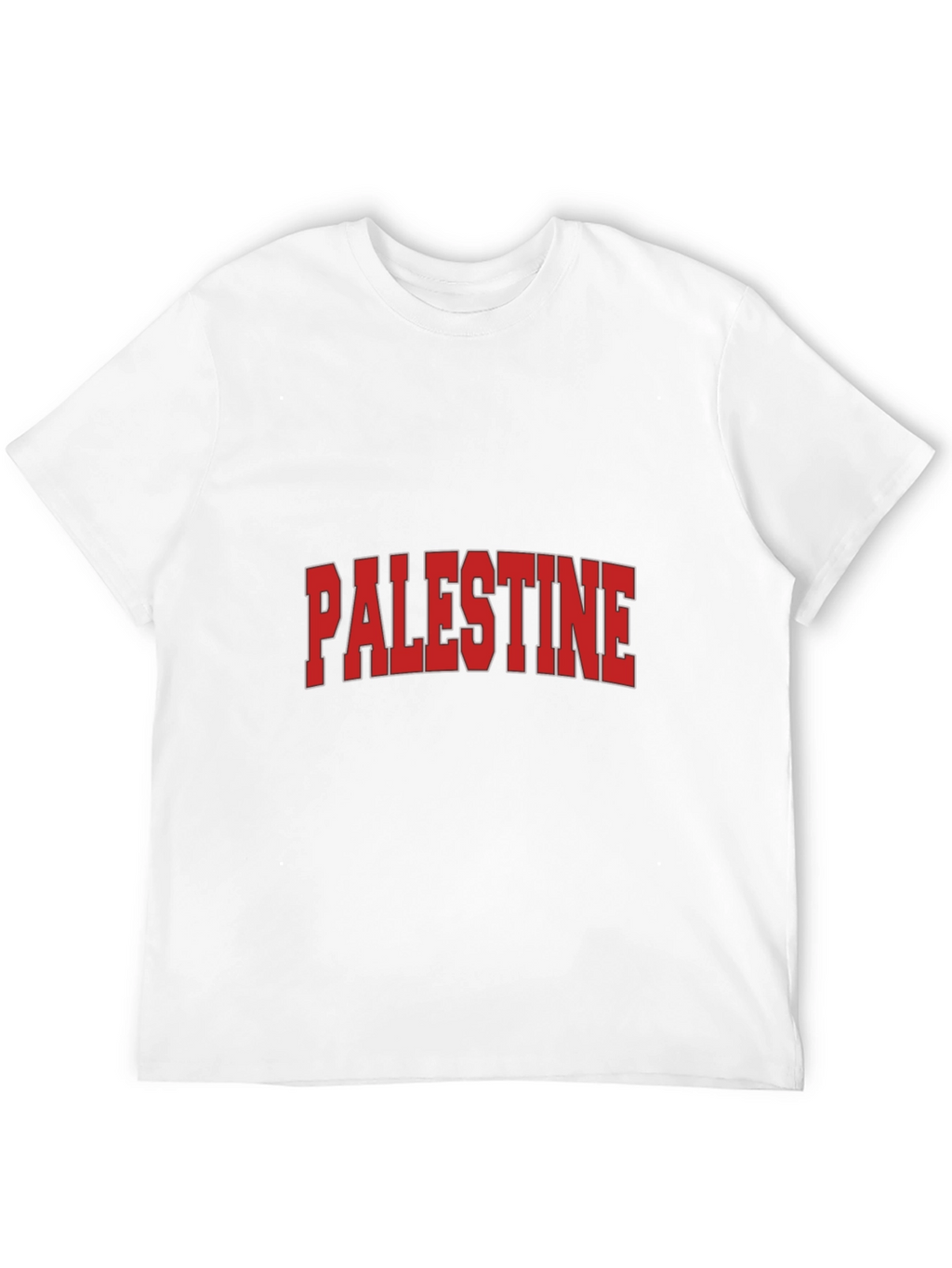 Palestine Graphic T-Shirt - Classic Design