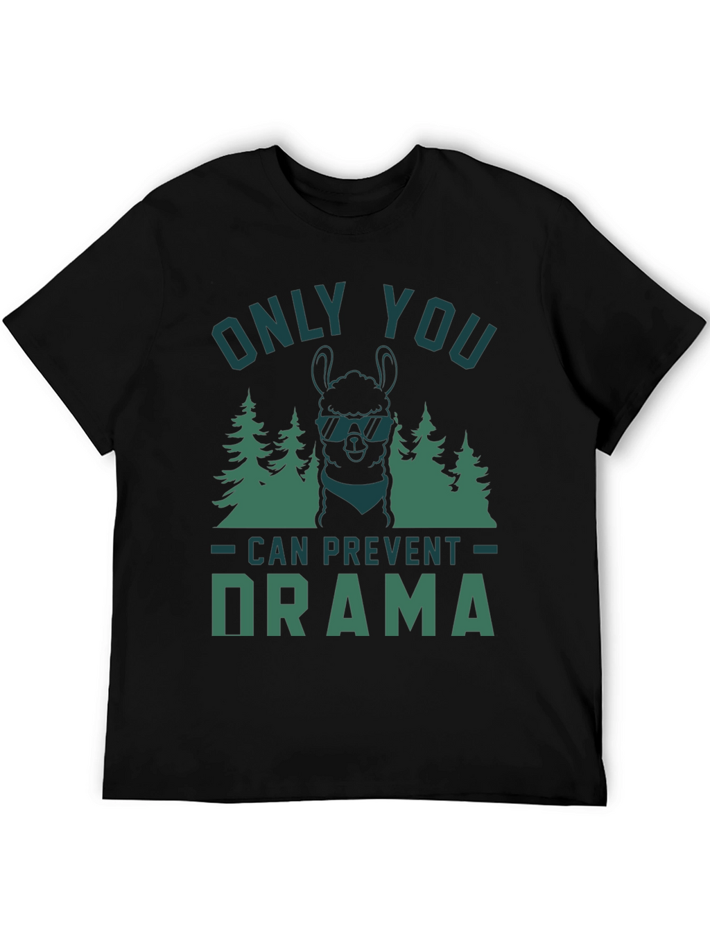 Only You Can Prevent Drama Graphic Tee