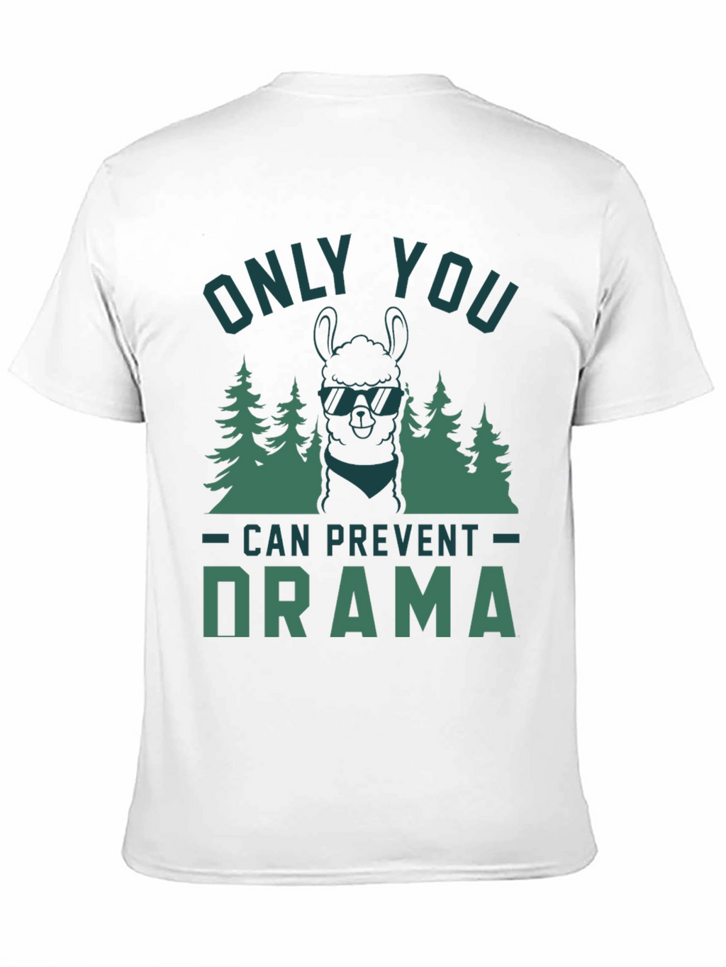 Only You Can Prevent Drama Graphic Tee