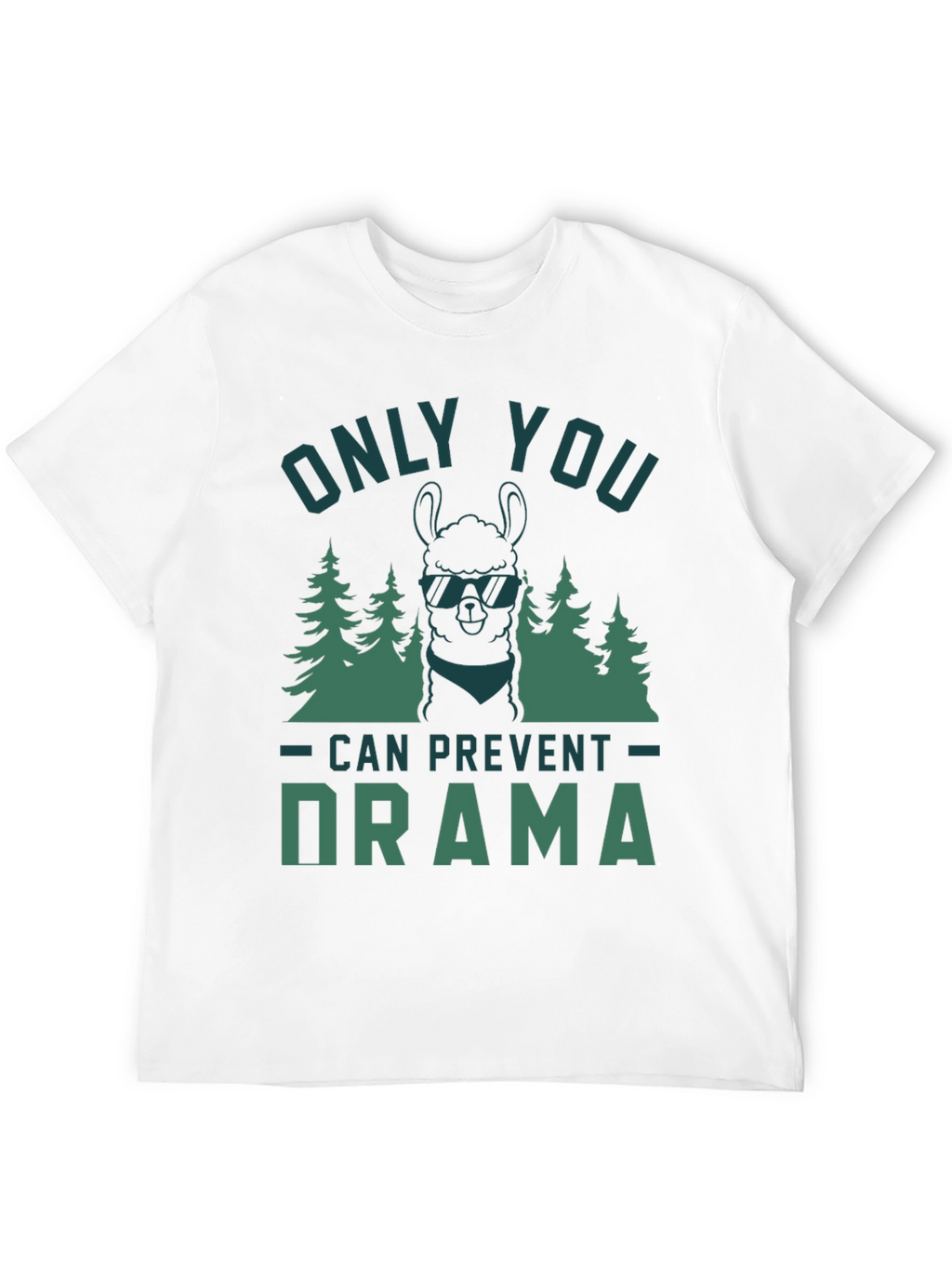 Only You Can Prevent Drama Graphic Tee