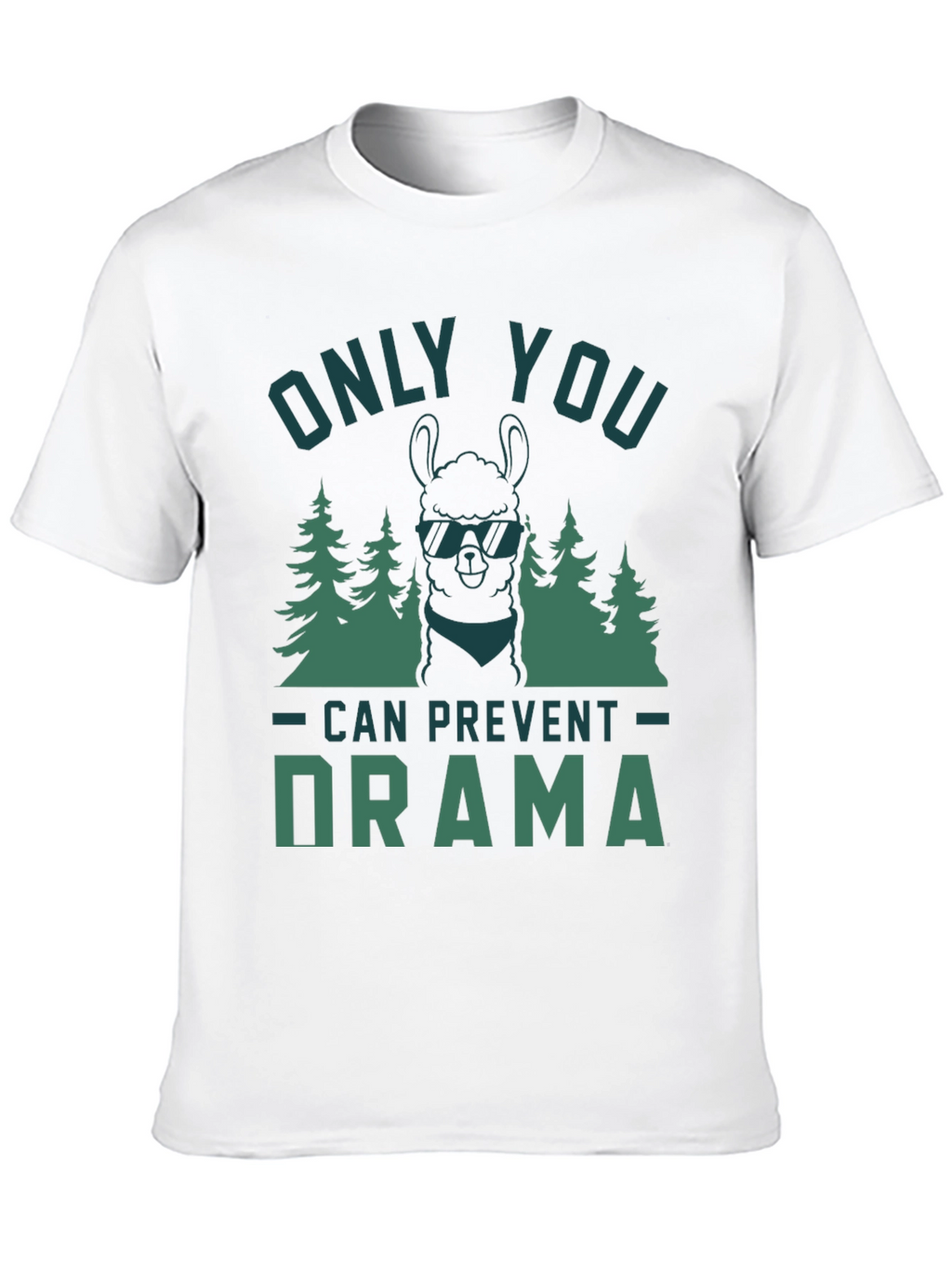 Only You Can Prevent Drama Graphic Tee