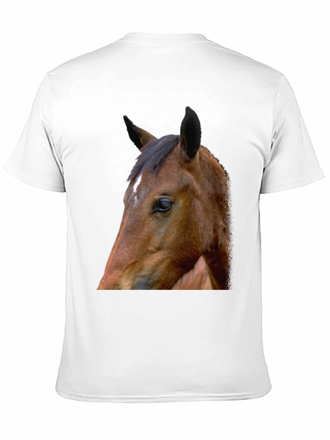 Horse Graphic Tee - Unisex Black T-Shirt