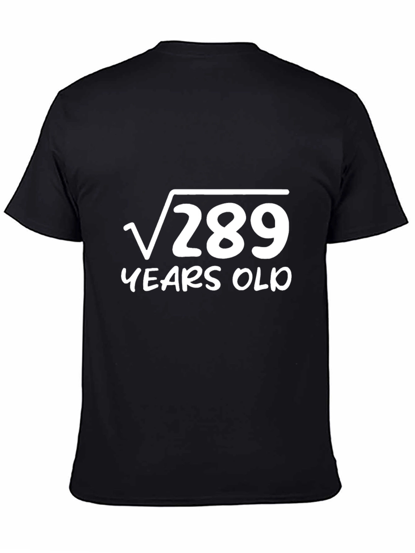 Funny 17th Birthday T-Shirt - Square Root of 289