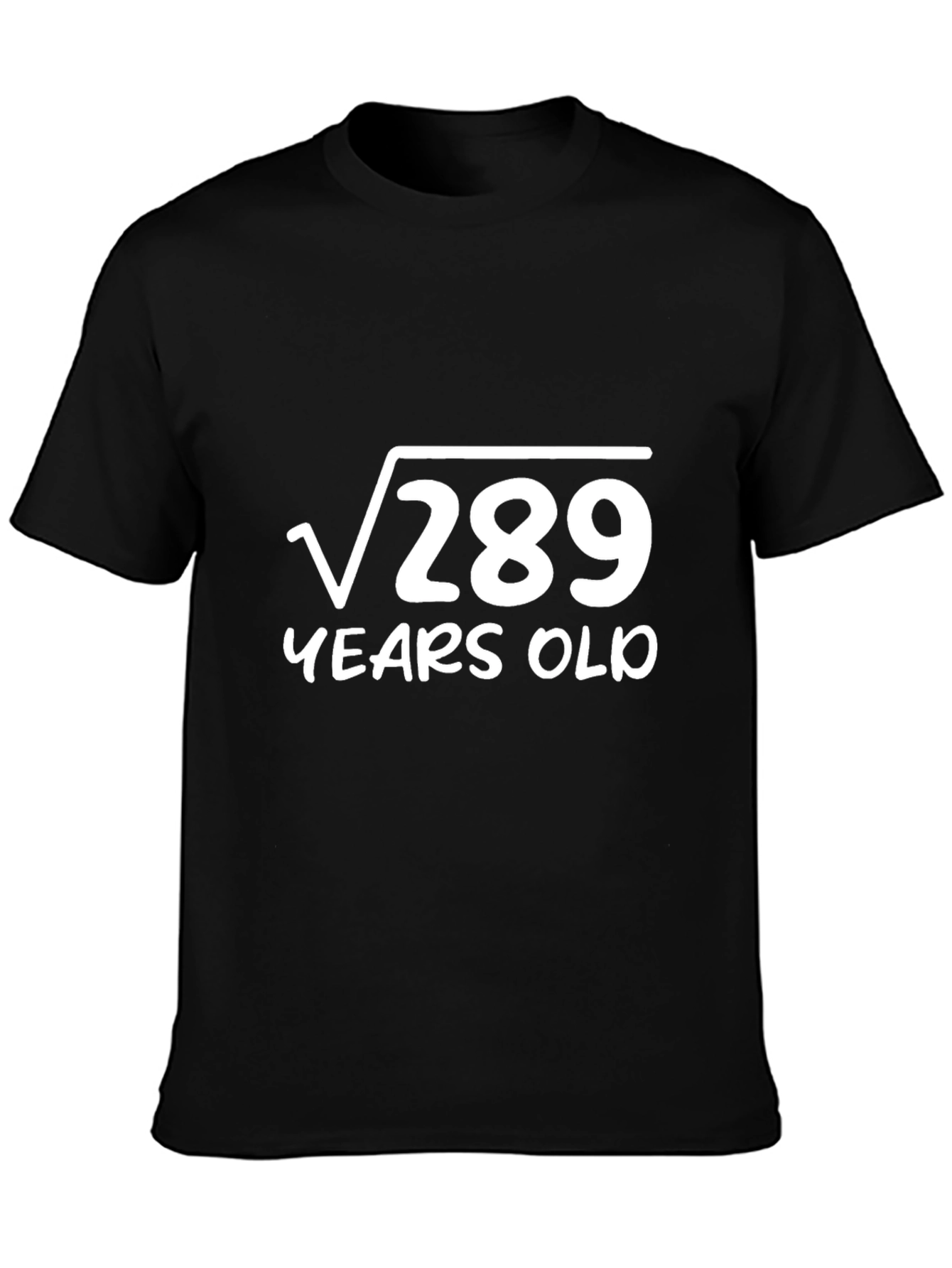 Funny 17th Birthday T-Shirt - Square Root of 289