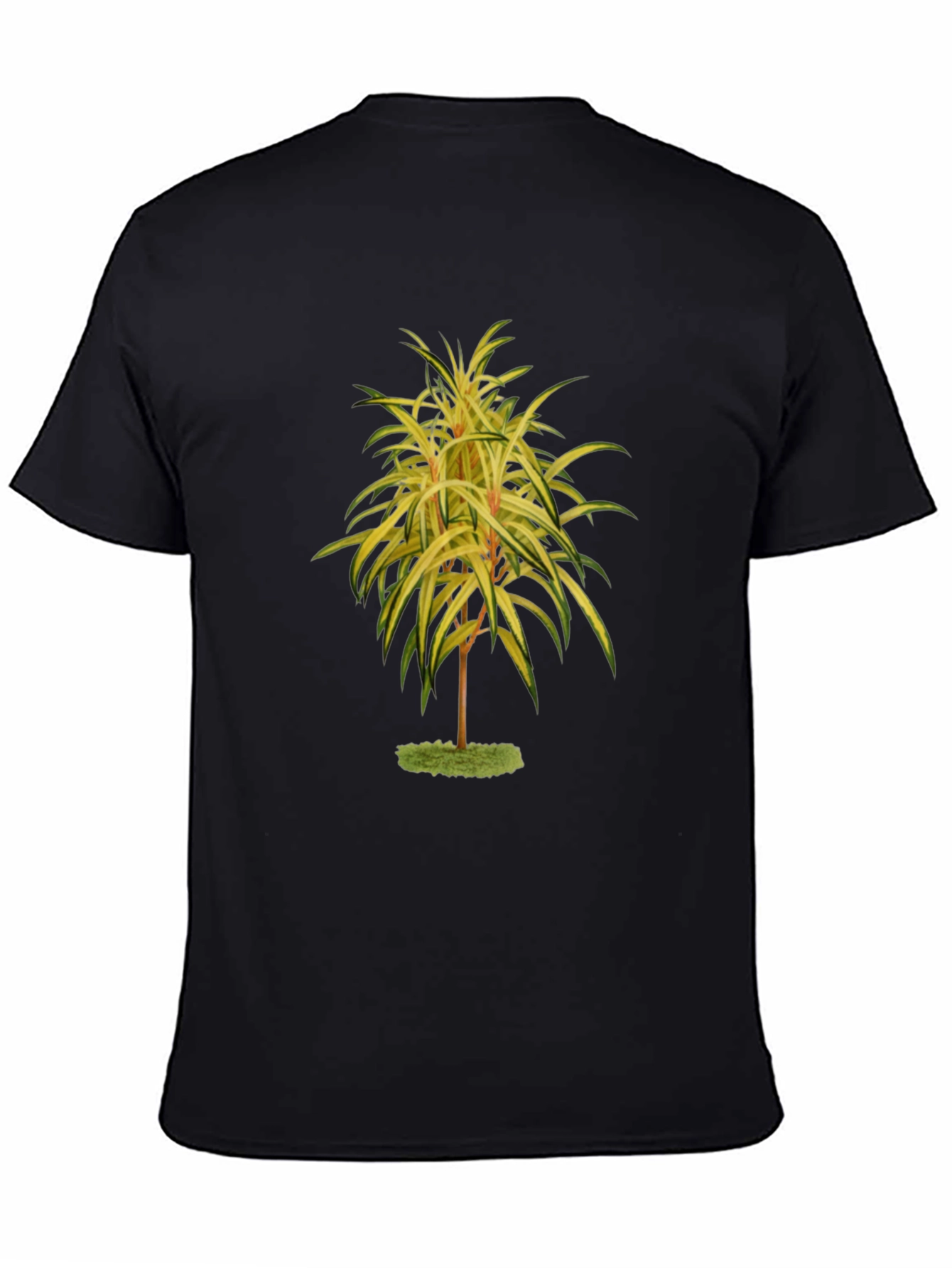 Botanical Tree Print Black T-Shirt