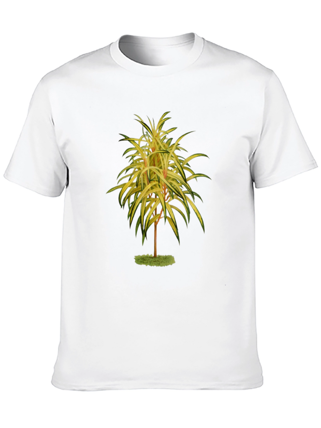 Botanical Tree Print Black T-Shirt