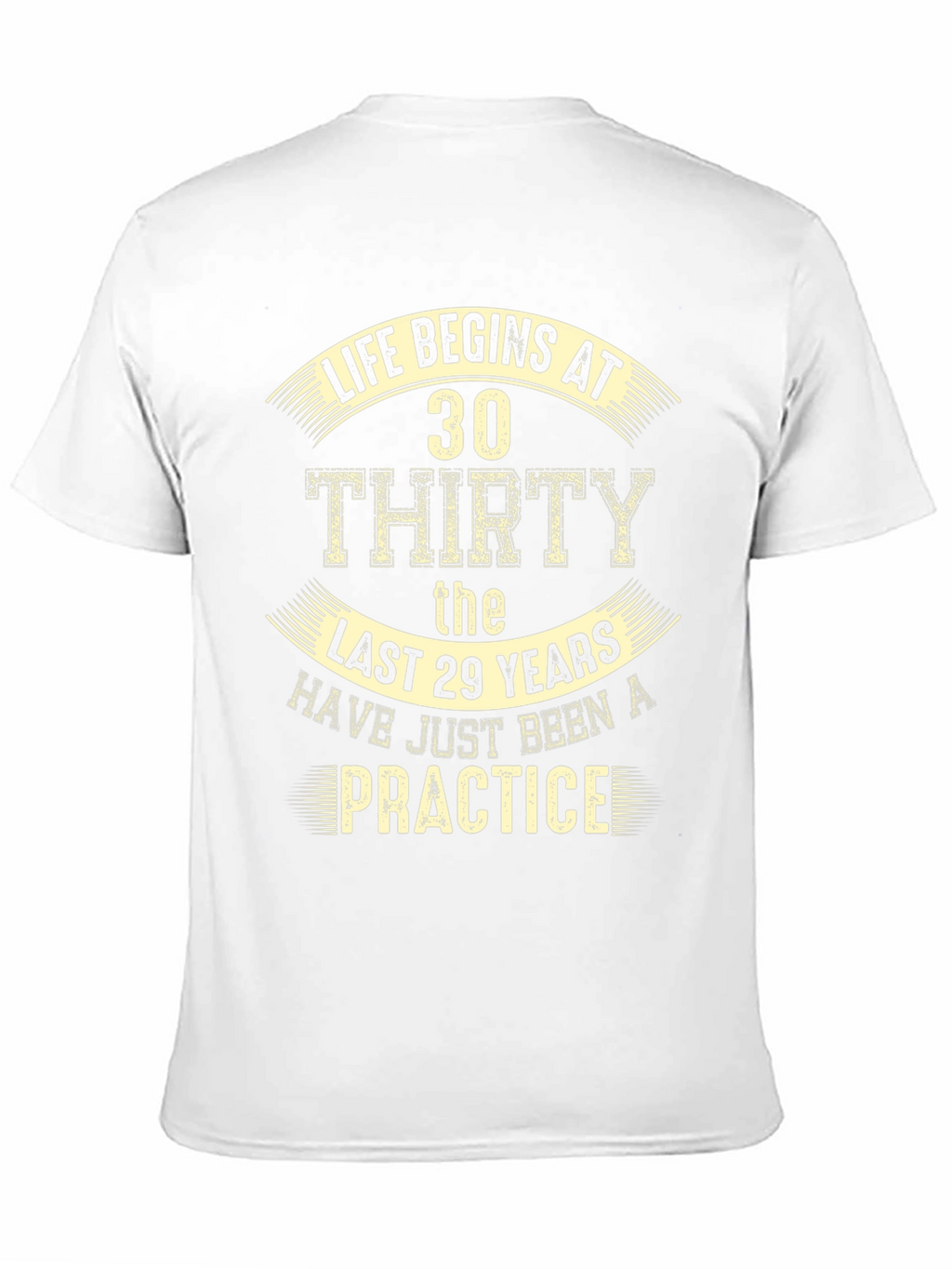Life Begins at 30 T-Shirt