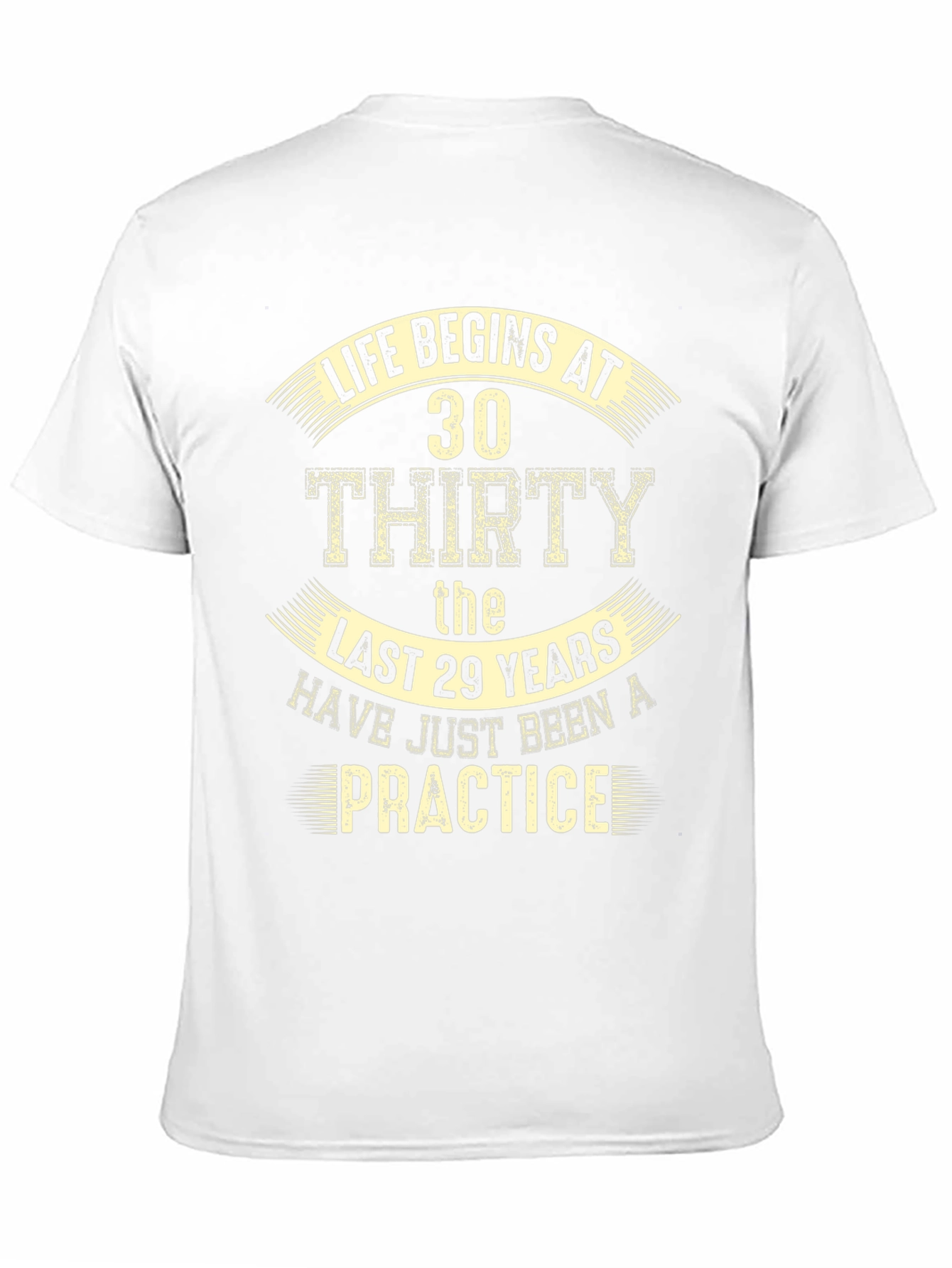Life Begins at 30 T-Shirt