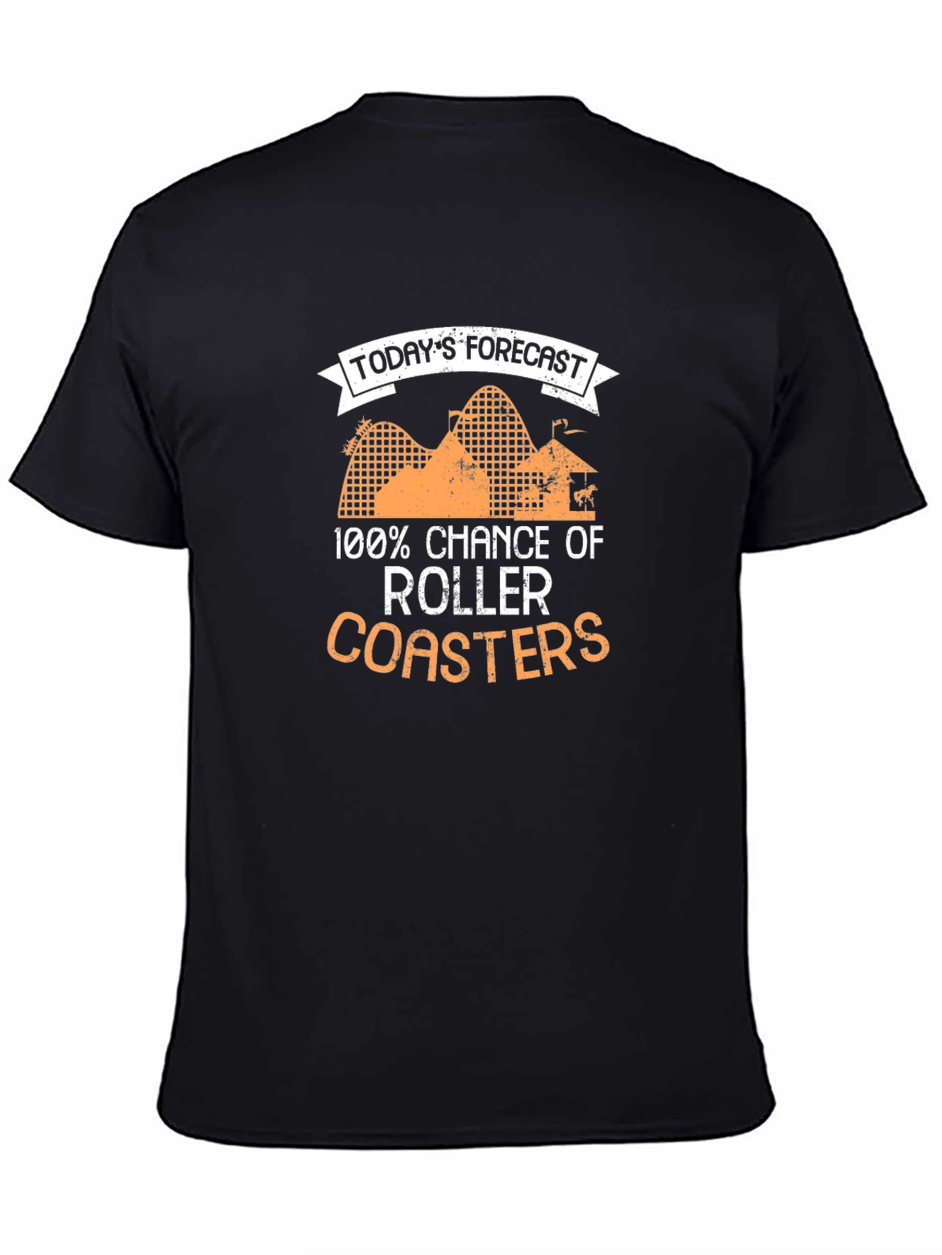 Roller Coaster Forecast Black Graphic Tee