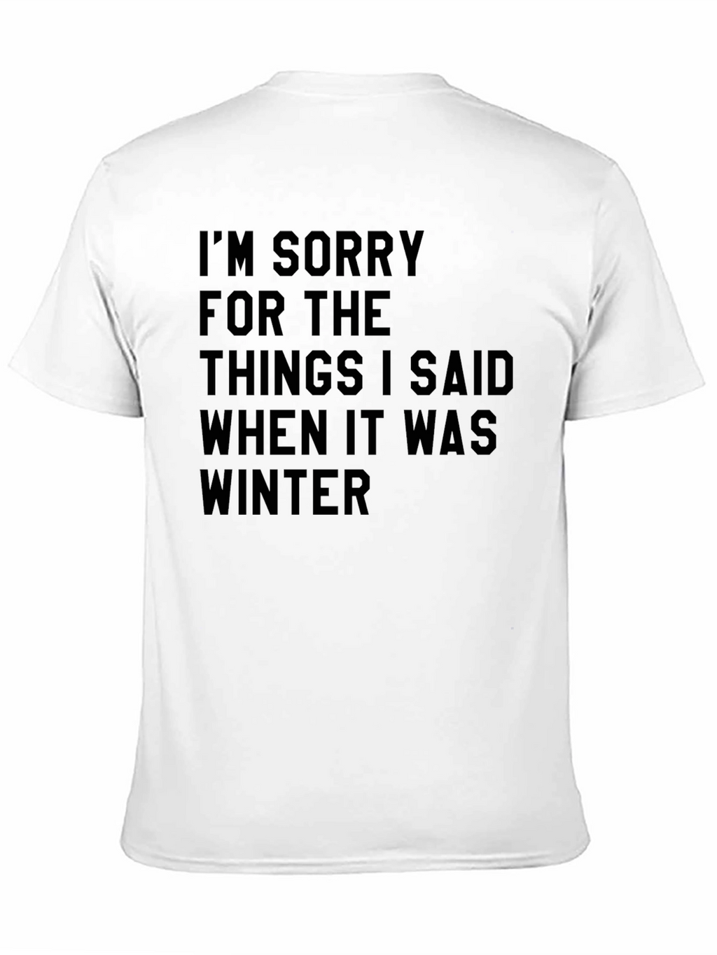Funny Winter Apology T-Shirt Novelty Saying Tee