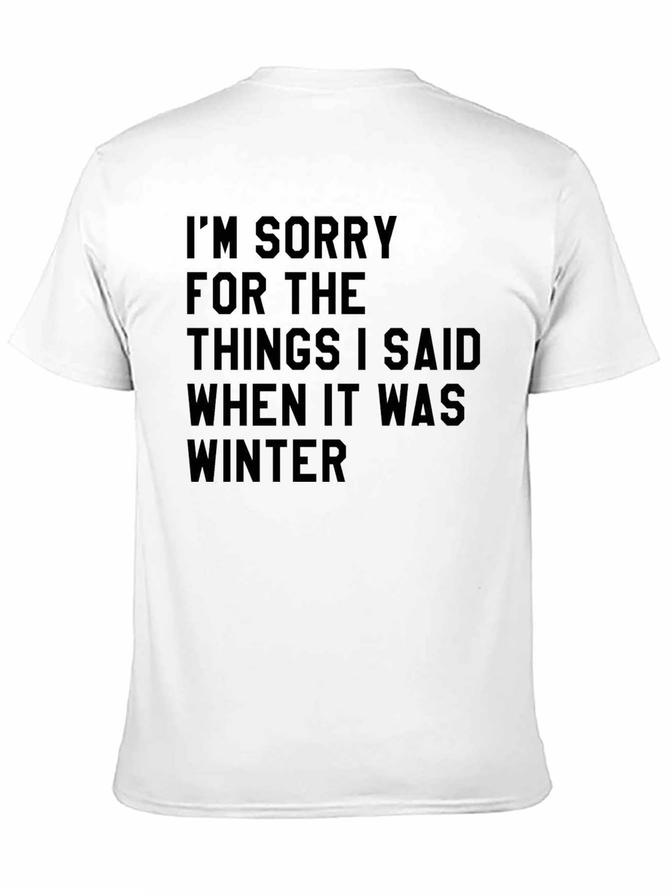 Funny Winter Apology T-Shirt Novelty Saying Tee