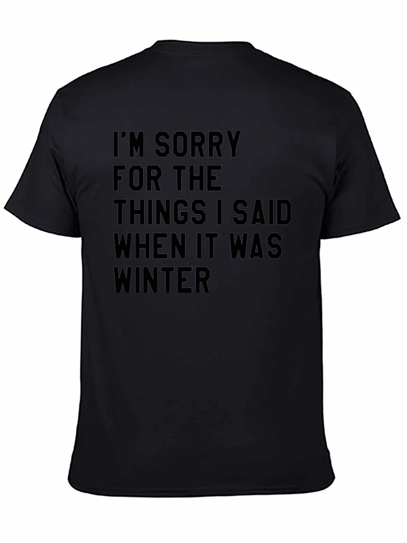 Funny Winter Apology T-Shirt Novelty Saying Tee
