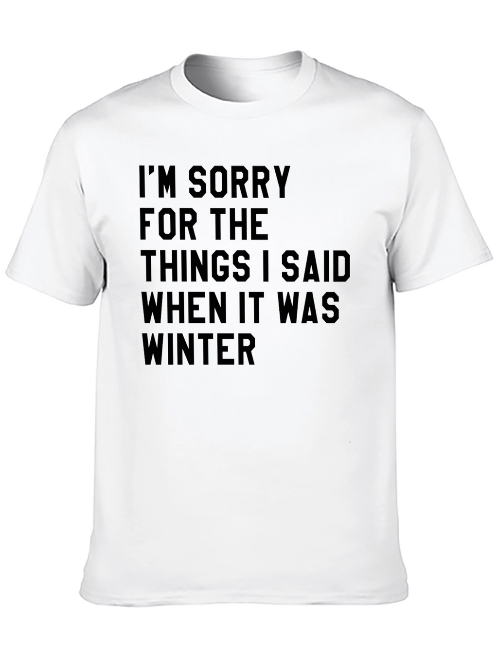 Funny Winter Apology T-Shirt Novelty Saying Tee