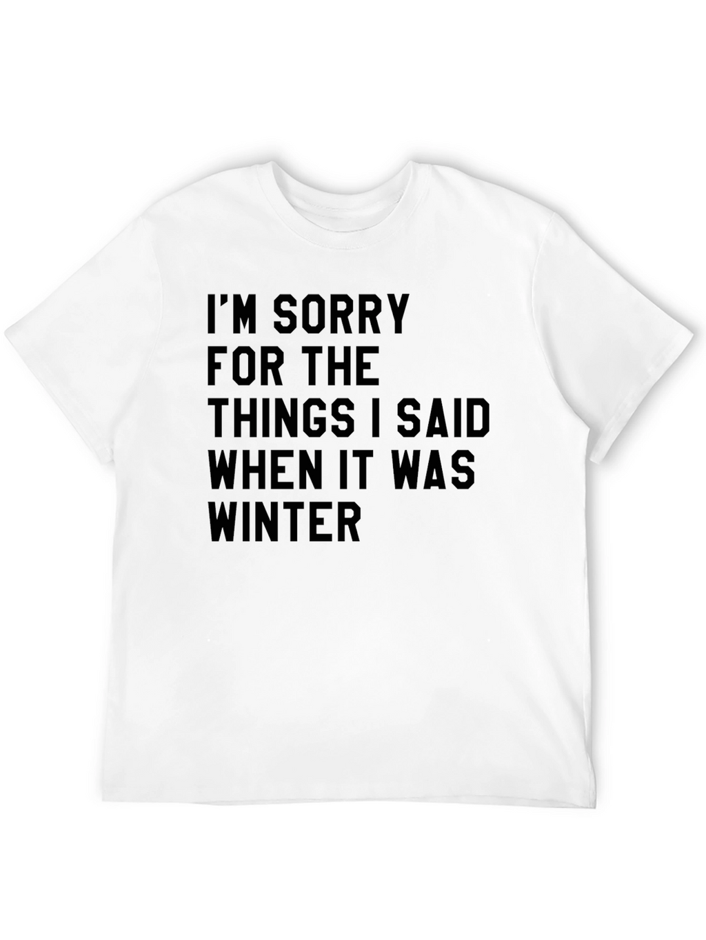 Funny Winter Apology T-Shirt Novelty Saying Tee