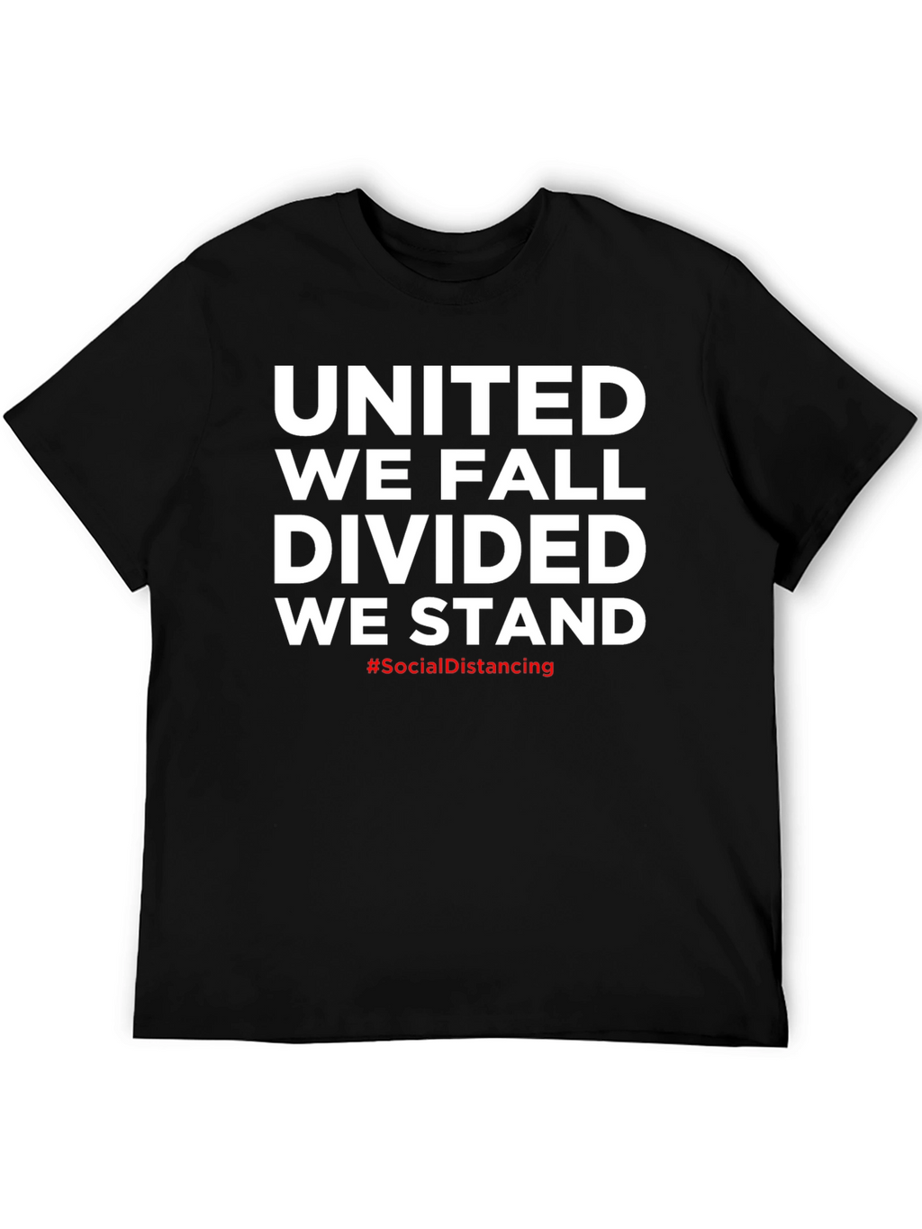 United We Fall Divided We Stand T-Shirt