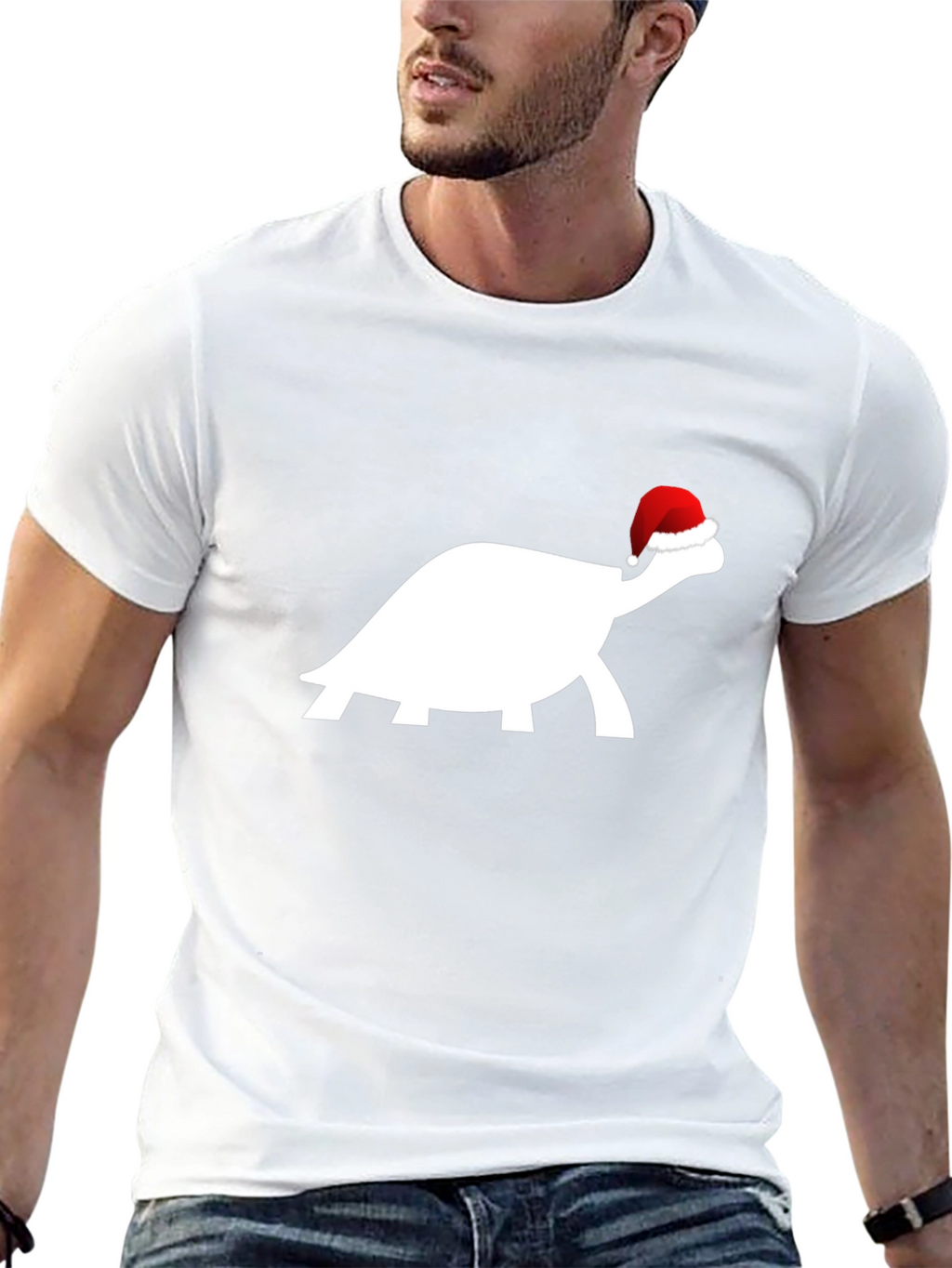 Festive Turtle Tee - Holiday Edition