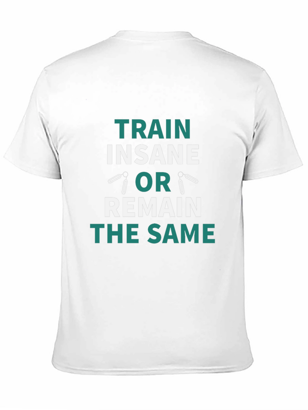 Train Insane Motivational Graphic T-Shirt