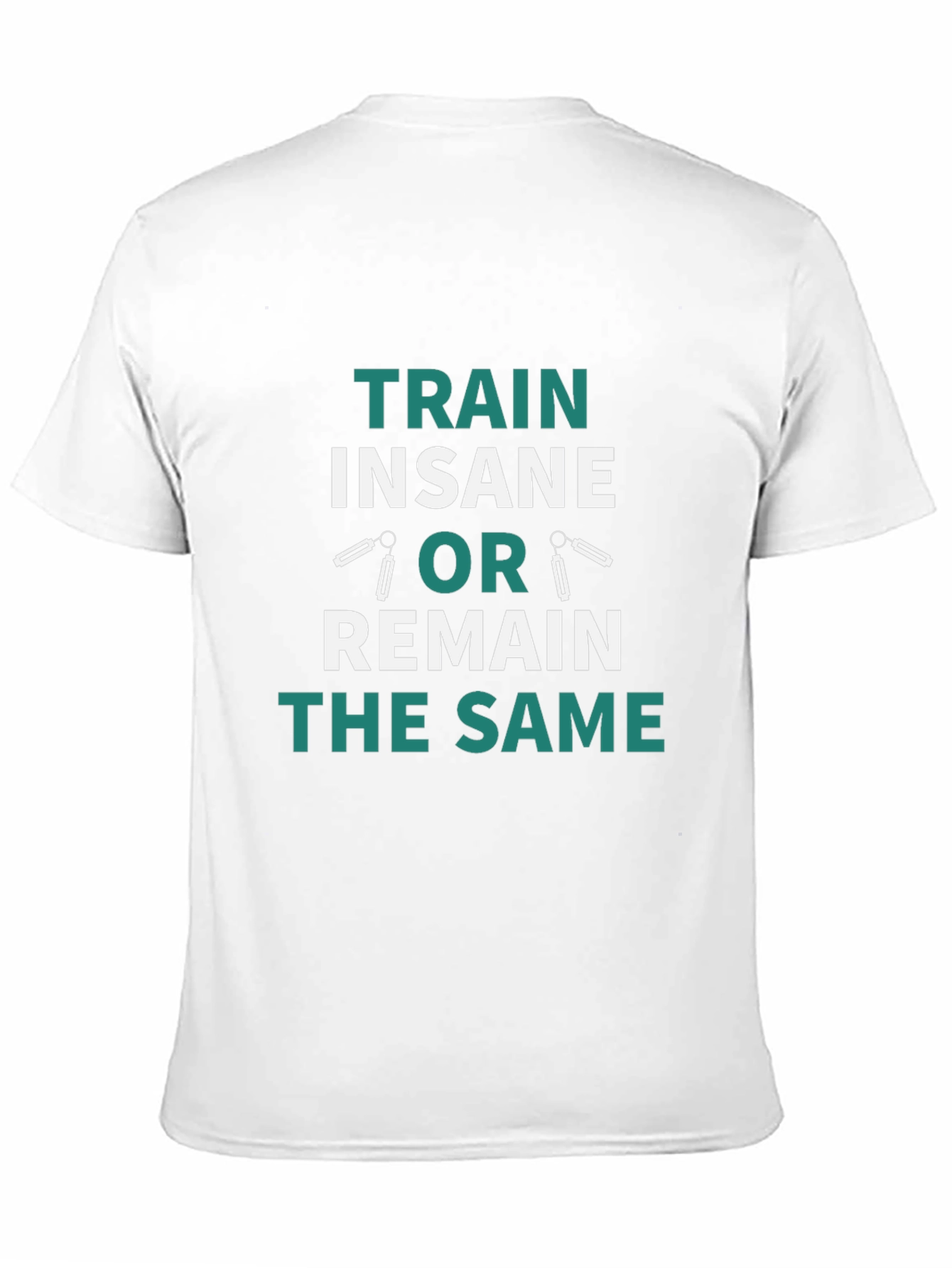 Train Insane Motivational Graphic T-Shirt