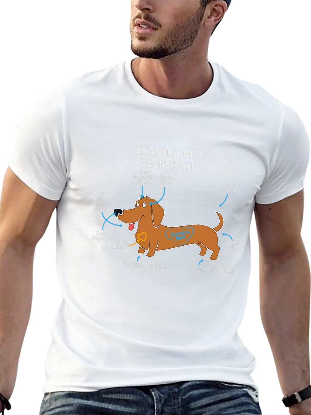 Anatomy of a Dachshund Funny Dog T-Shirt
