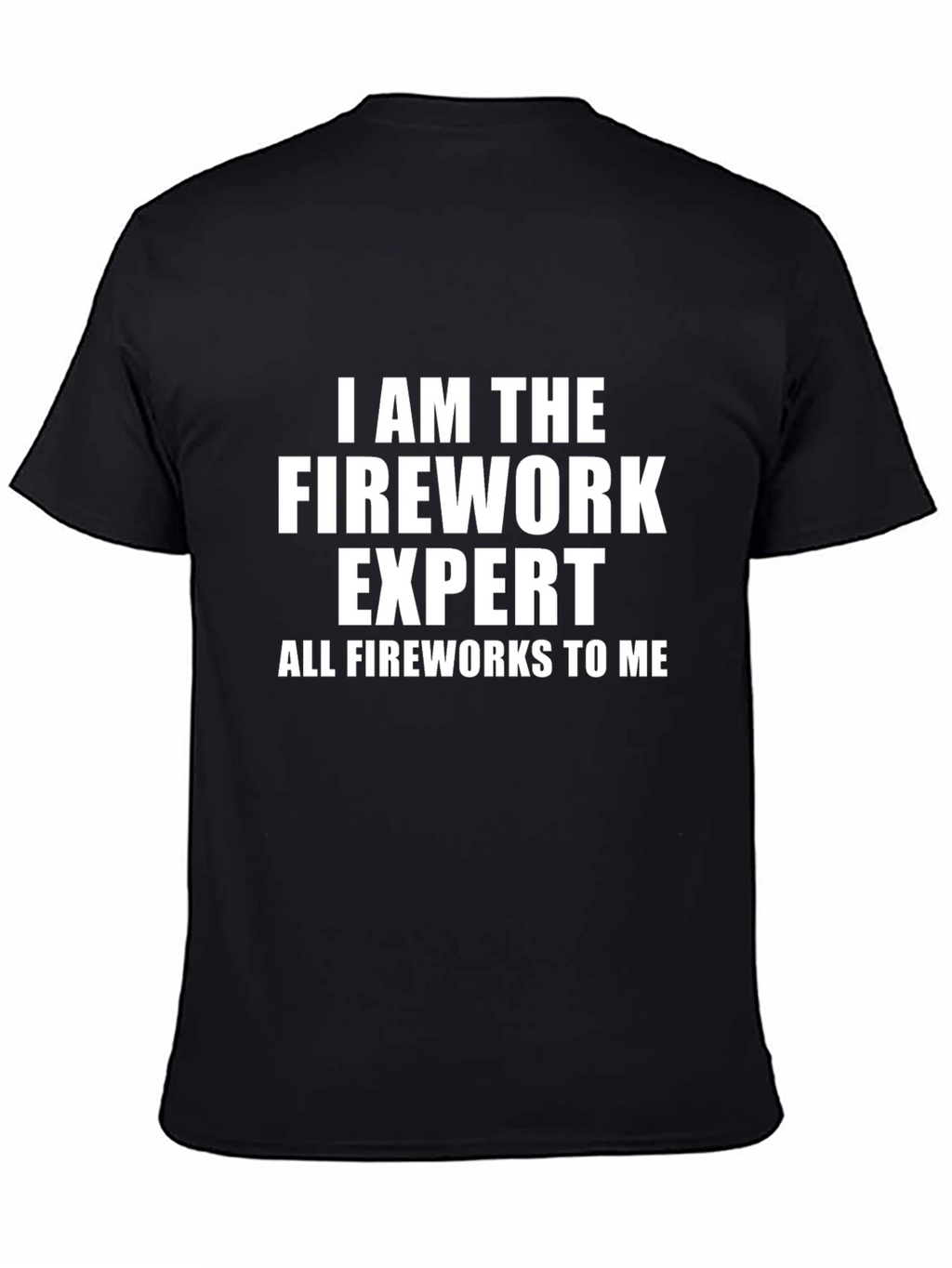 Firework Expert T-Shirt Funny Gift Idea