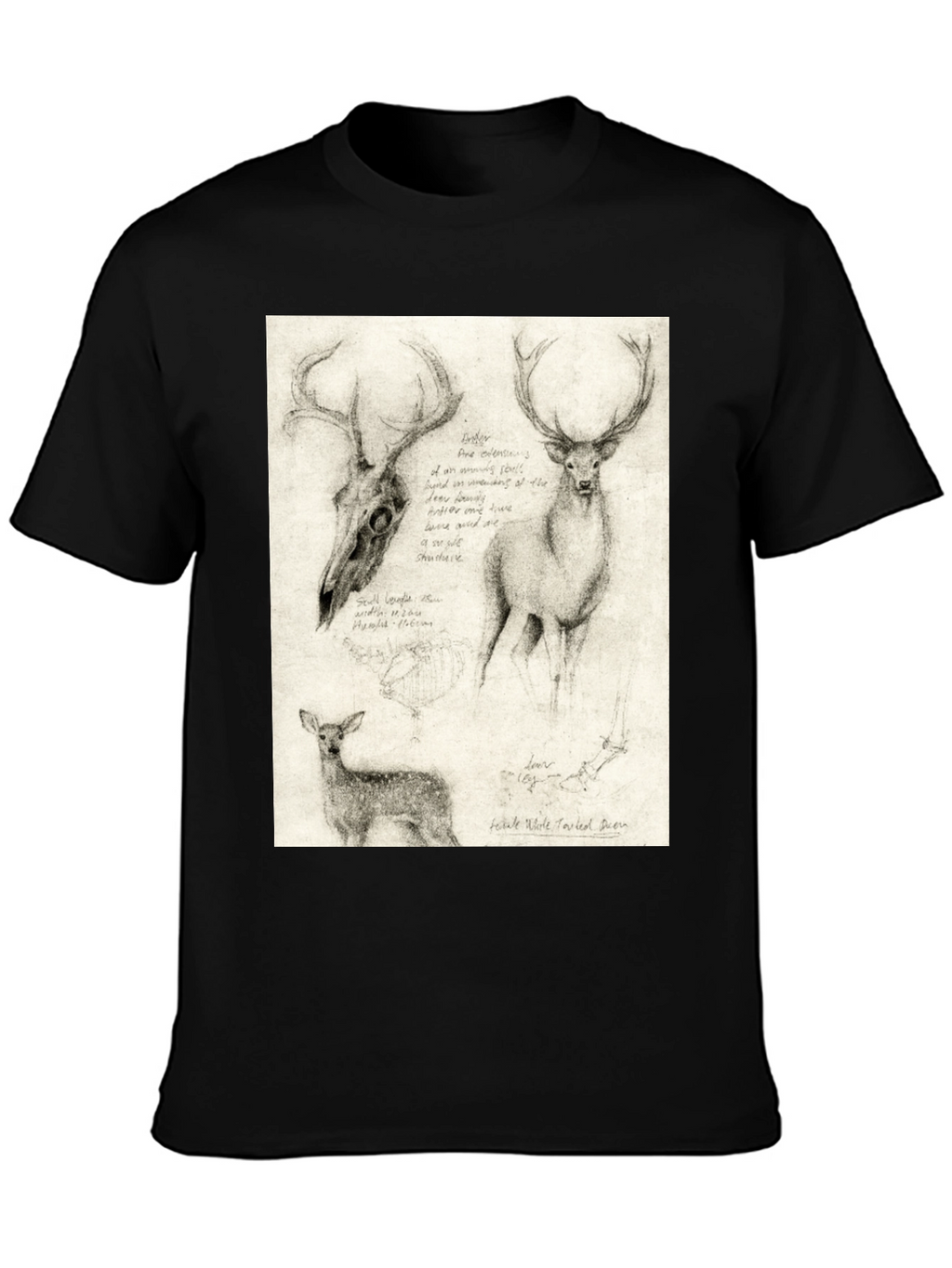 Deer Sketch T-Shirt | Wildlife Illustration Tee