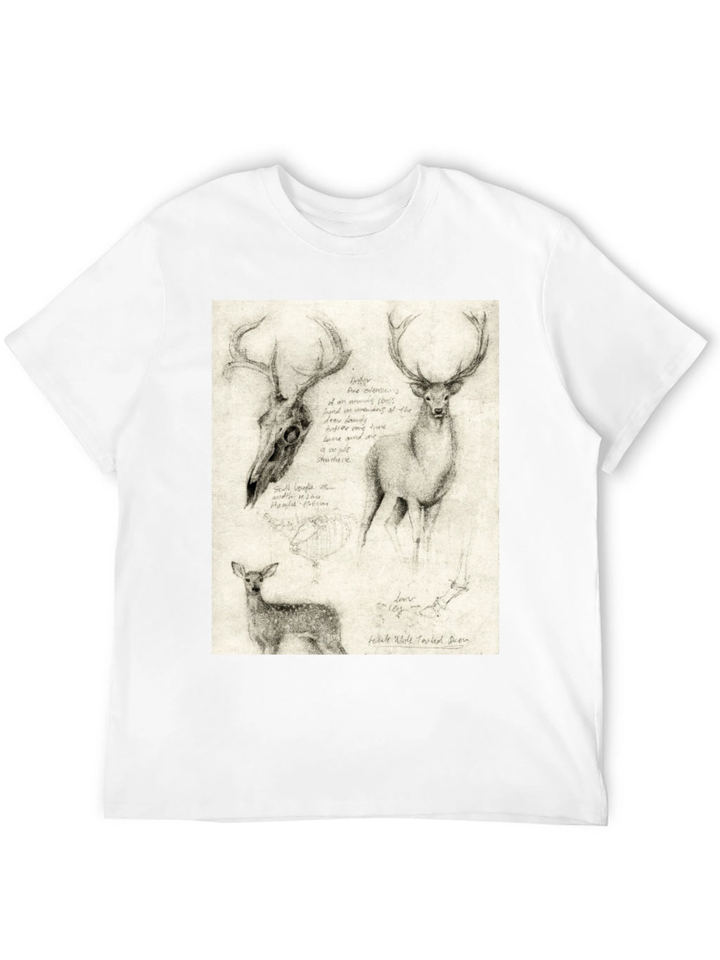 Deer Sketch T-Shirt | Wildlife Illustration Tee