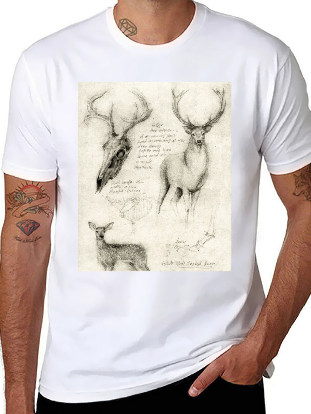 Deer Sketch T-Shirt | Wildlife Illustration Tee
