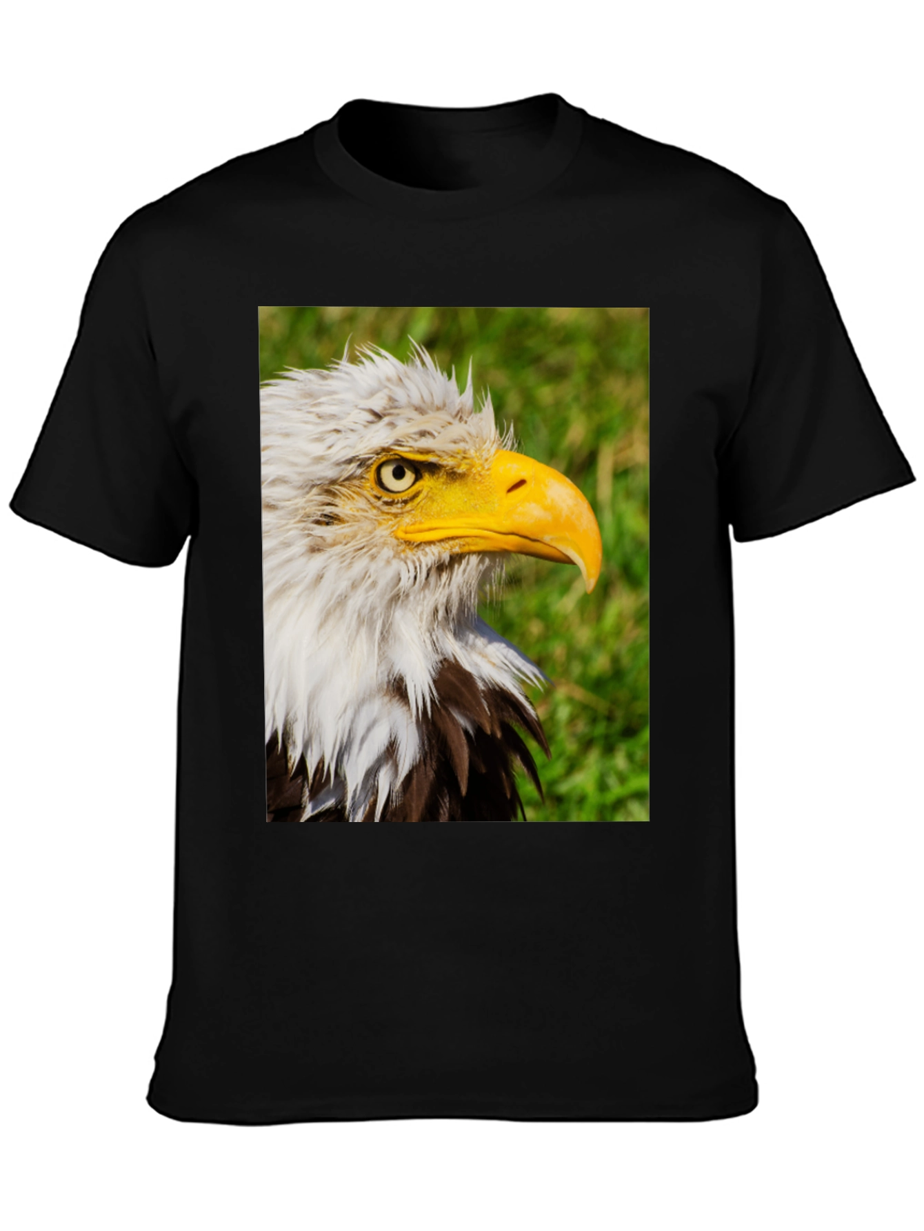 Bald Eagle Graphic Print Black T-Shirt