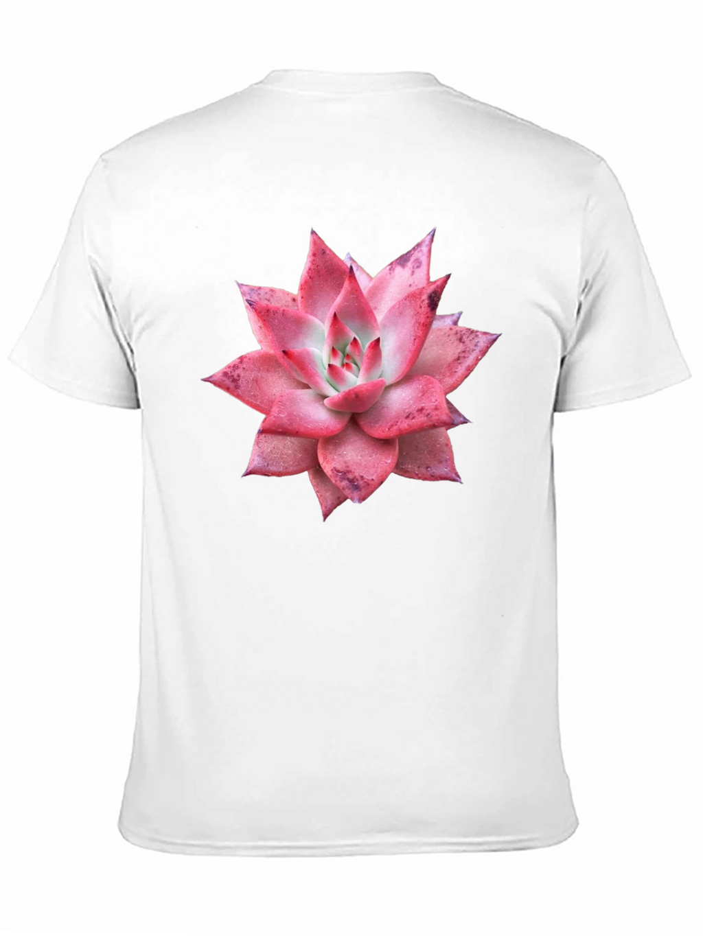 Succulent Graphic Tee - Black Cotton T-Shirt