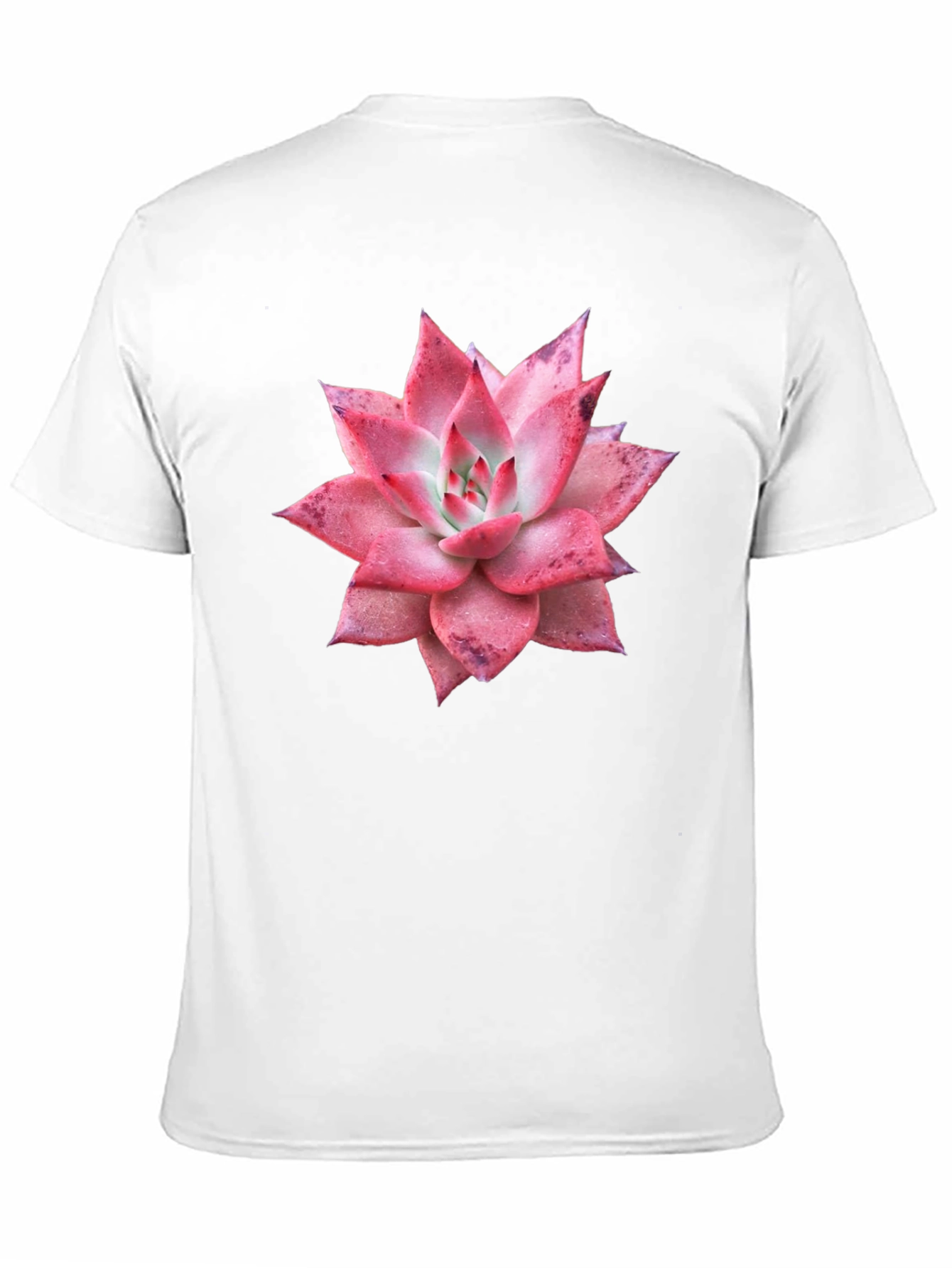 Succulent Graphic Tee - Black Cotton T-Shirt