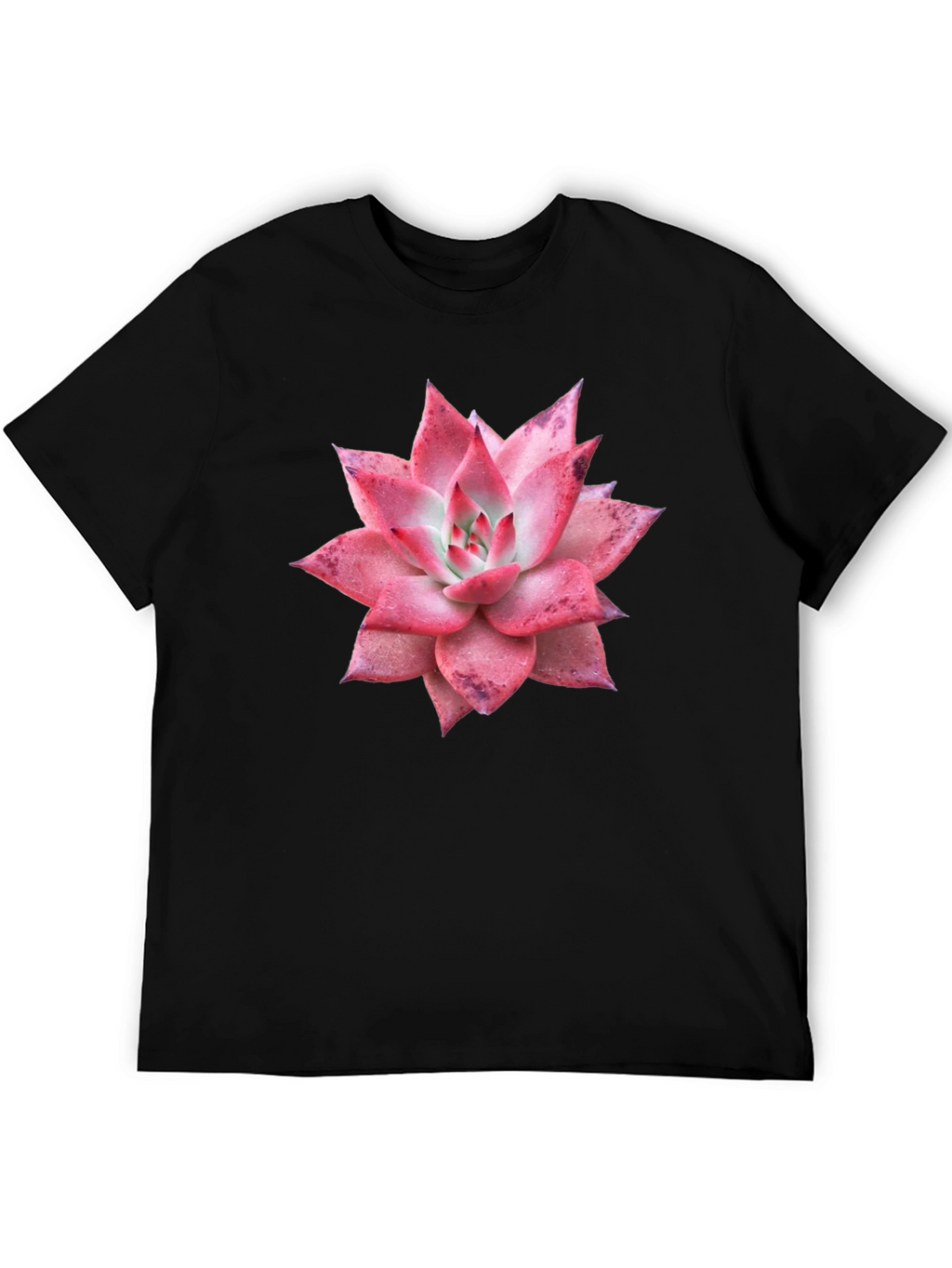 Succulent Graphic Tee - Black Cotton T-Shirt
