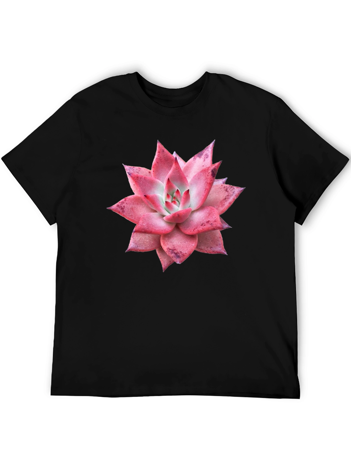 Succulent Graphic Tee - Black Cotton T-Shirt