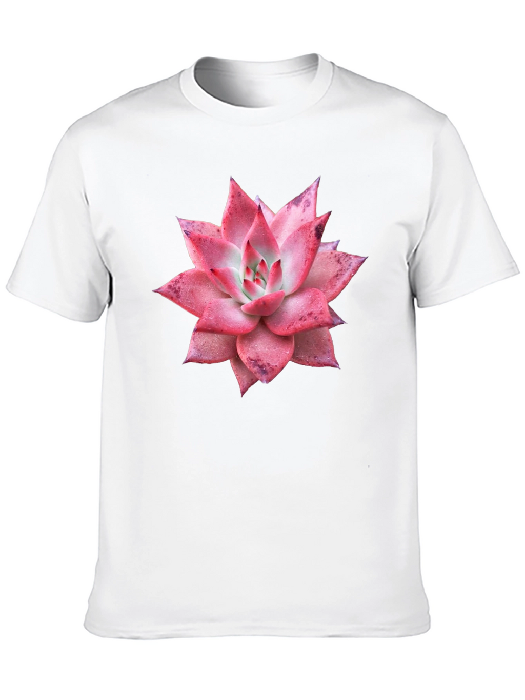 Succulent Graphic Tee - Black Cotton T-Shirt