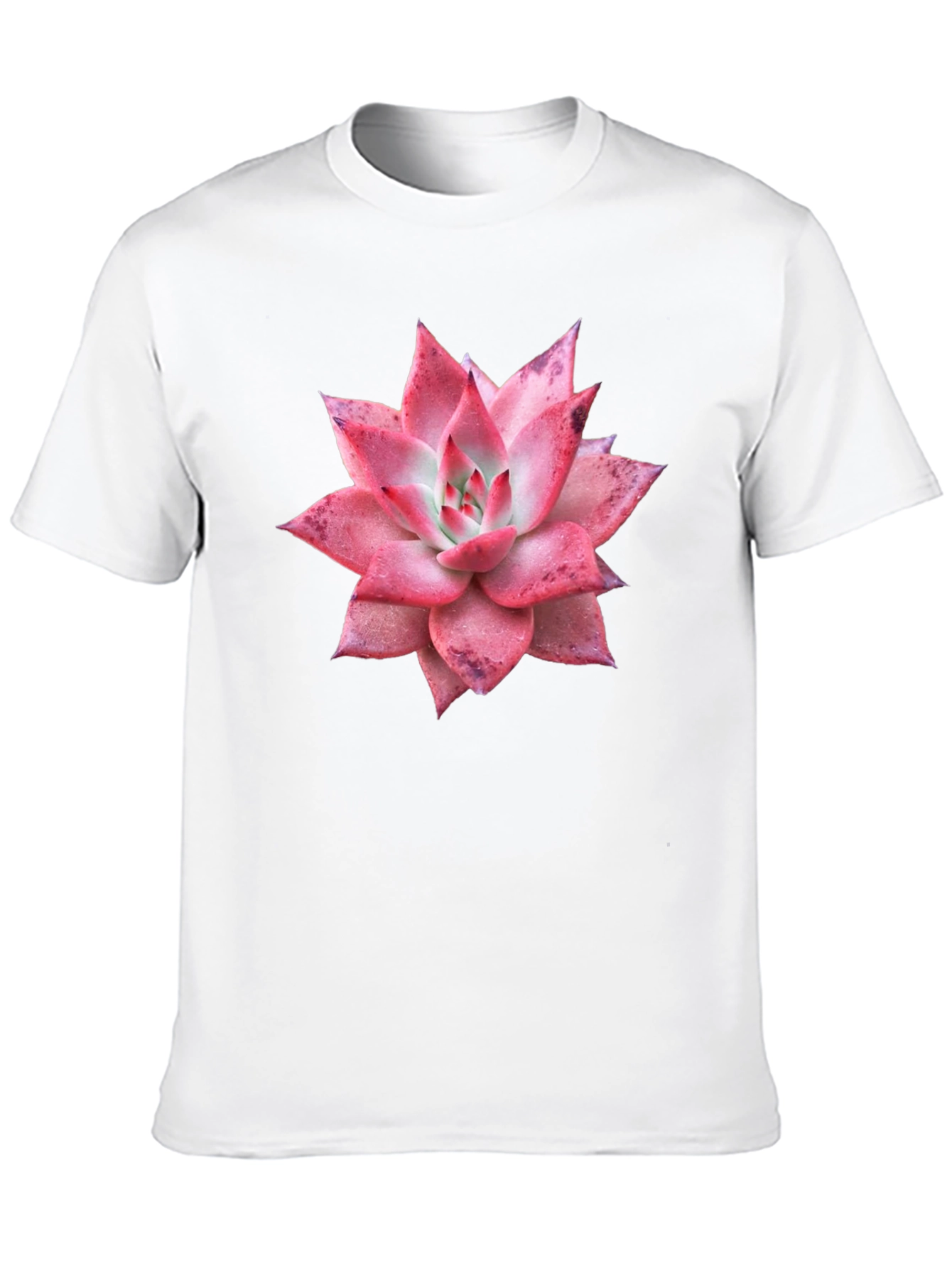 Succulent Graphic Tee - Black Cotton T-Shirt