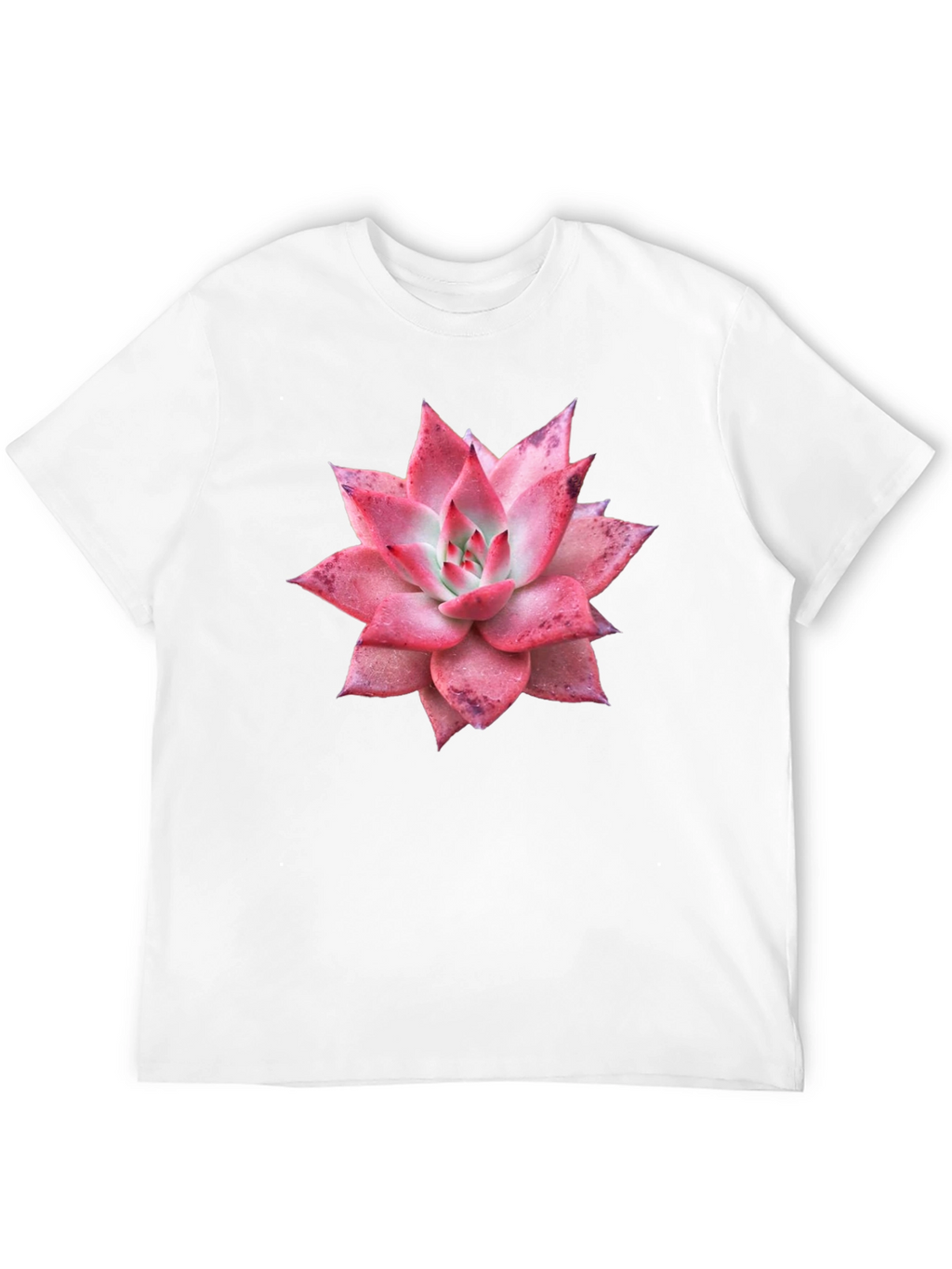 Succulent Graphic Tee - Black Cotton T-Shirt