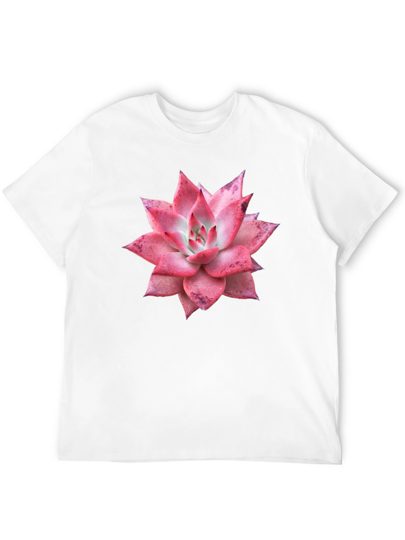 Succulent Graphic Tee - Black Cotton T-Shirt
