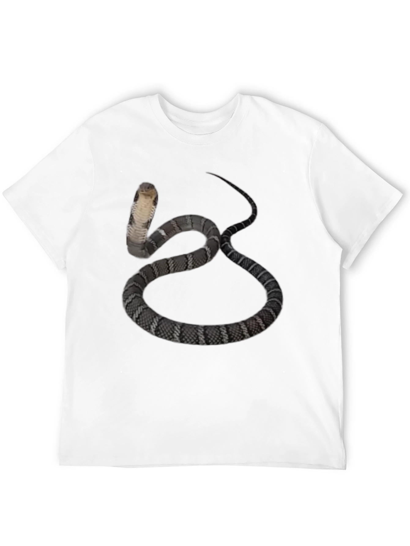 Cobra Snake Graphic Tee - Mens Black T-Shirt