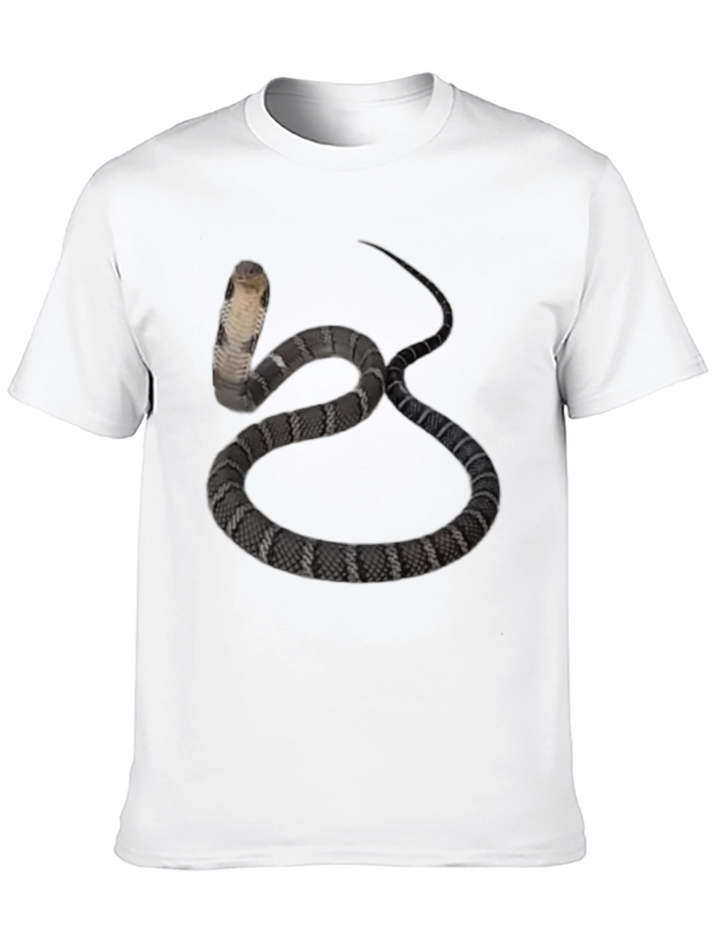 Cobra Snake Graphic Tee - Mens Black T-Shirt