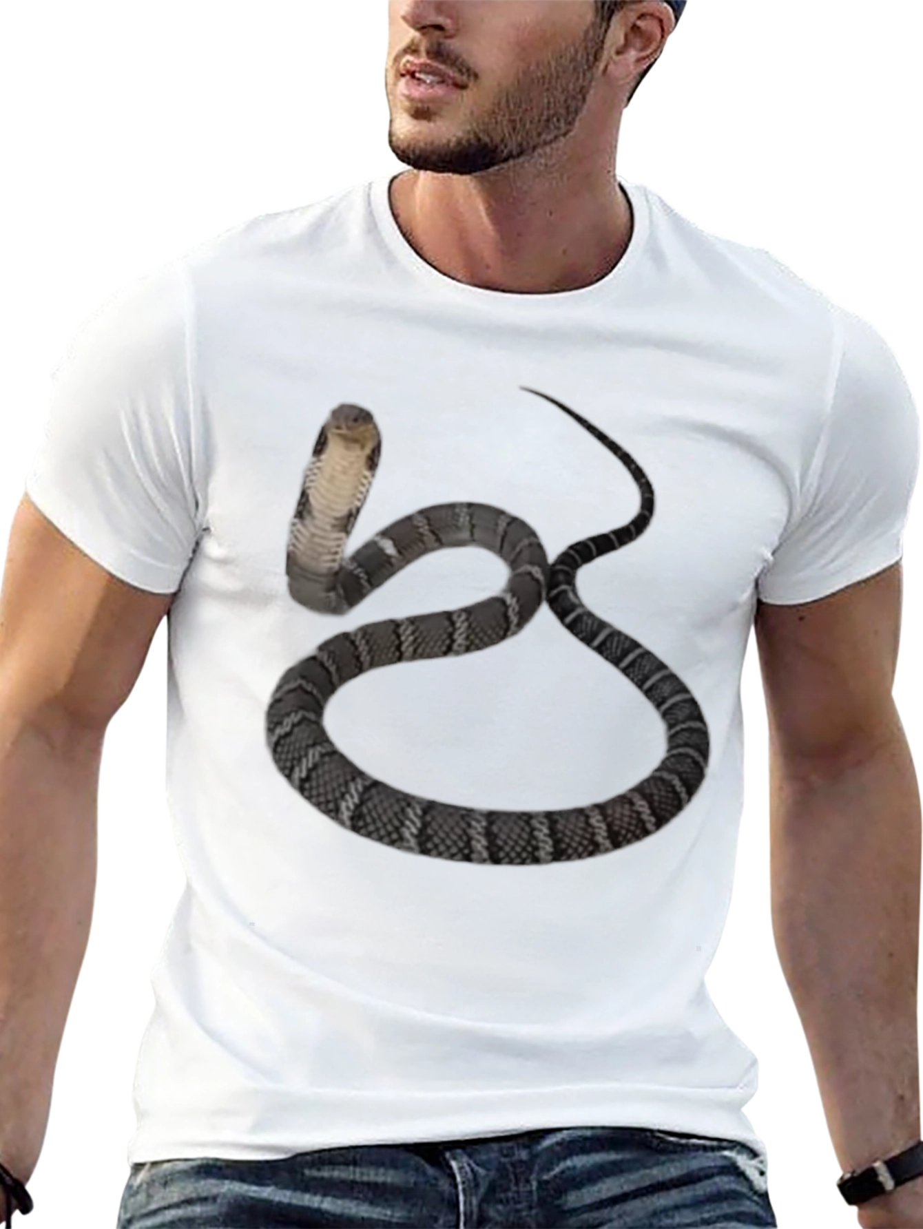Cobra Snake Graphic Tee - Mens Black T-Shirt