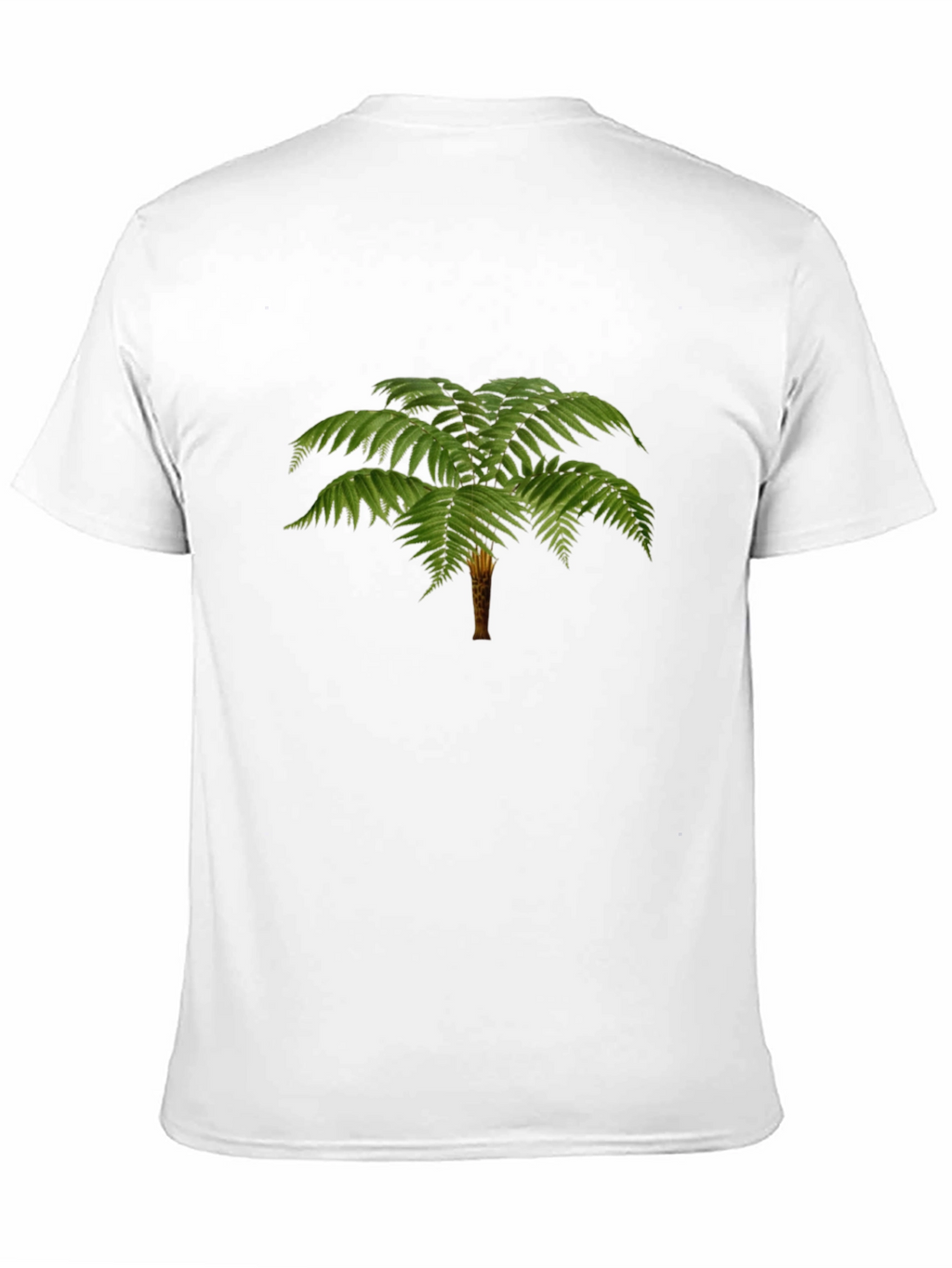 Fern Graphic Tee - Classic Black T-Shirt